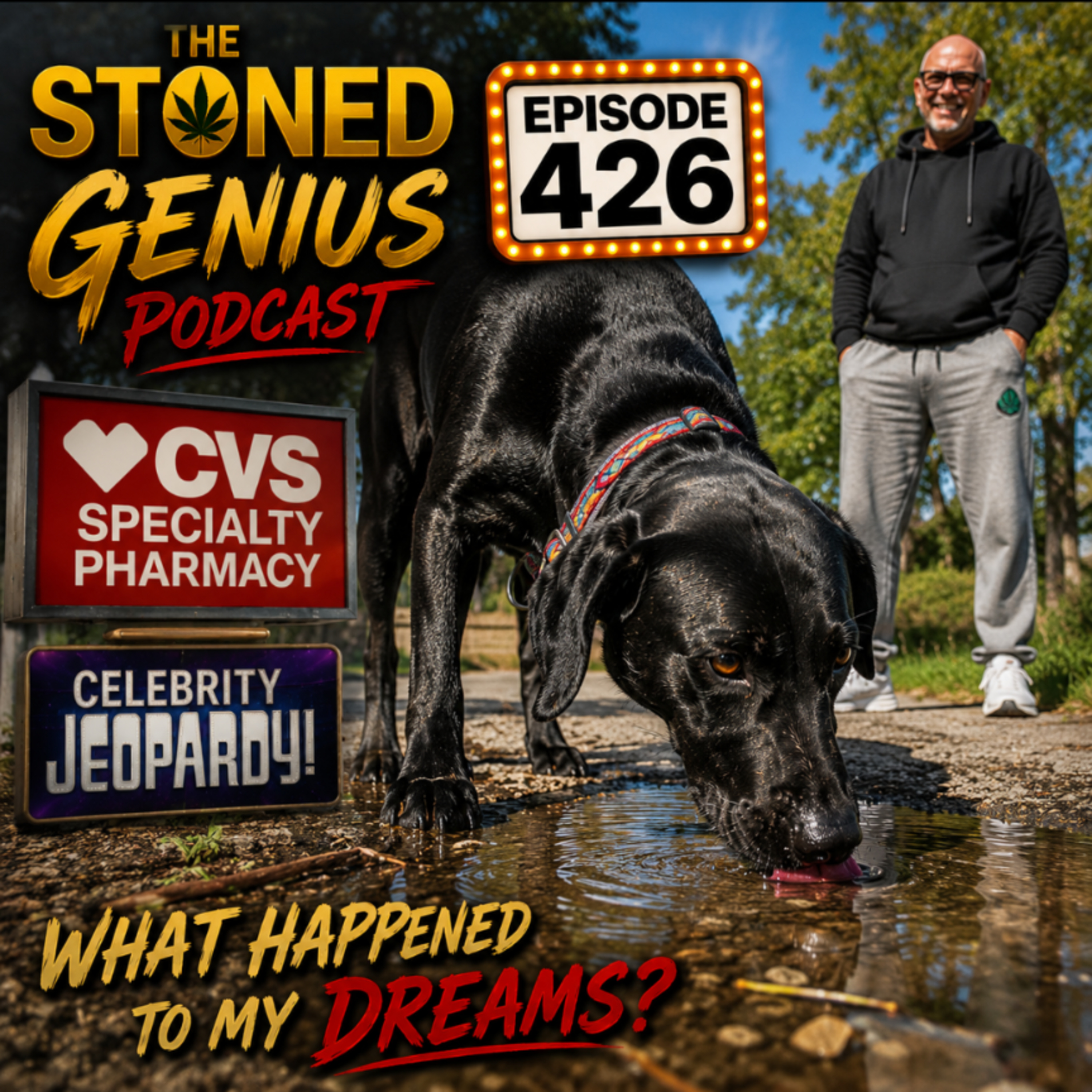 Episode 426 What Happened to My Dreams? episode artwork