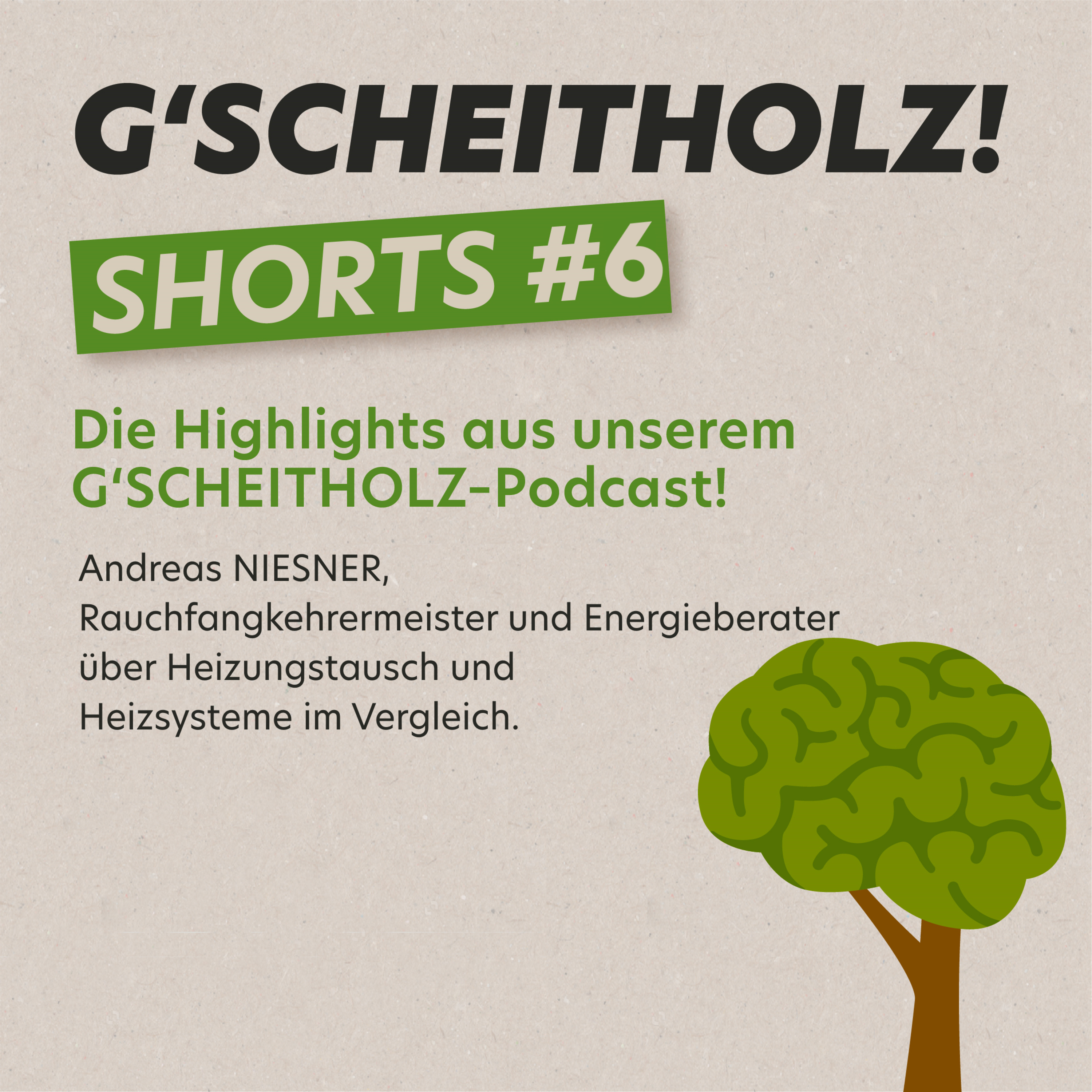 G'SCHEITHOLZ SHORTS #6 – Heizungstausch und Heizsysteme im Vergleich
