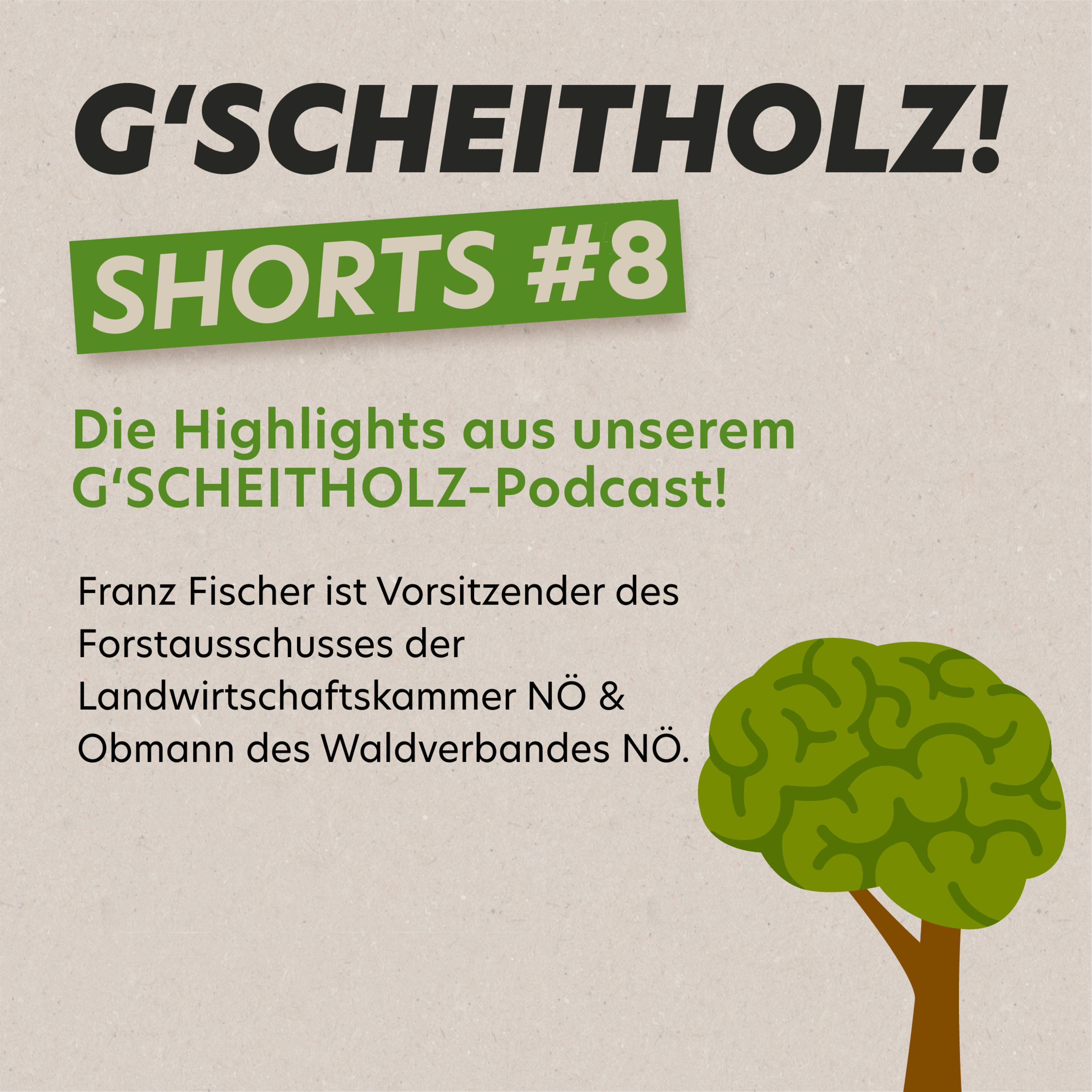 G'SCHEITHOLZ SHORTS #8 – ein heimischer Rohstoff mit Zukunft im Detail