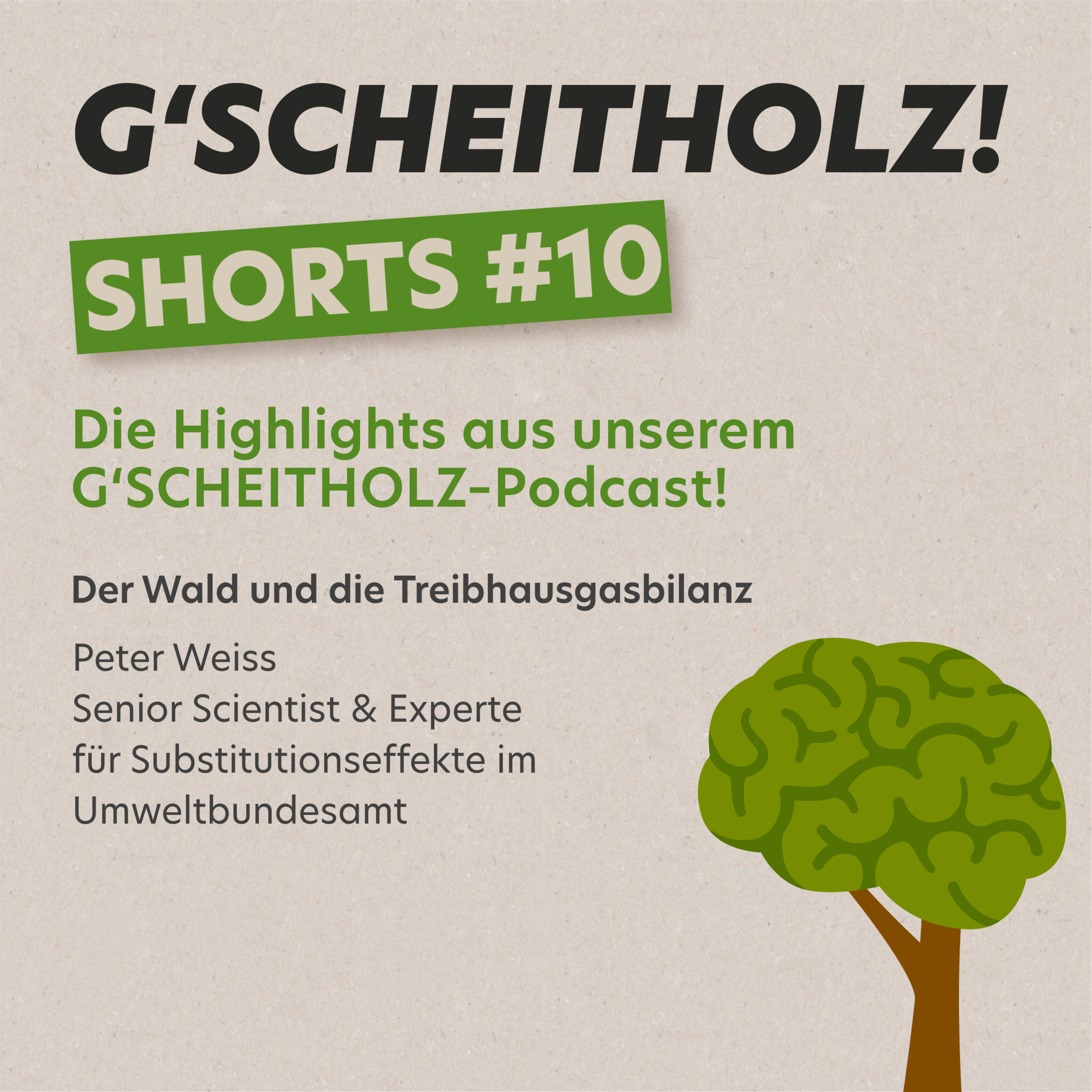 G'SCHEITHOLZ! SHORTS #10 – Wald und Treibhausgasbilanzierung