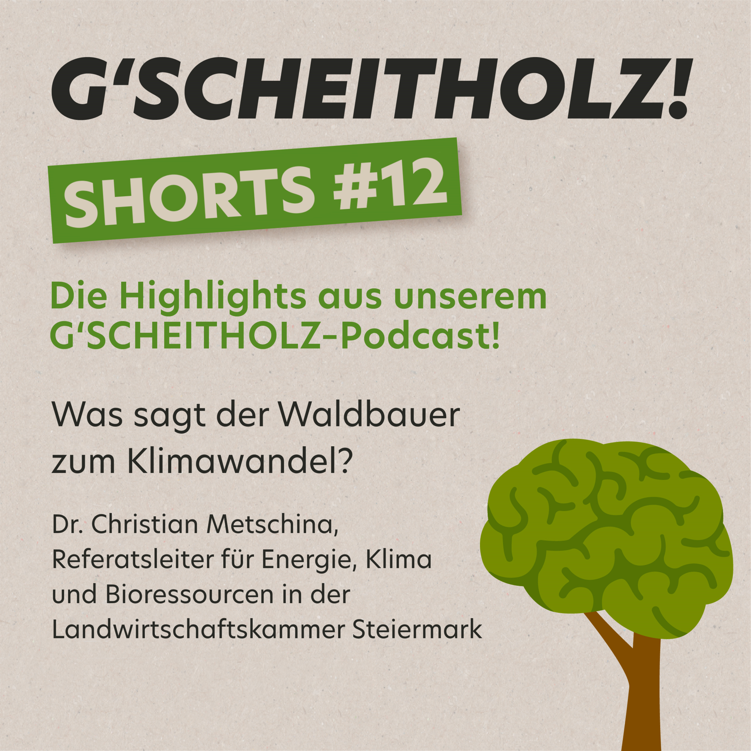 G'SCHEITHOLZ! SHORTS #12 – Was sagt der Waldbauer zum Klimawandel?