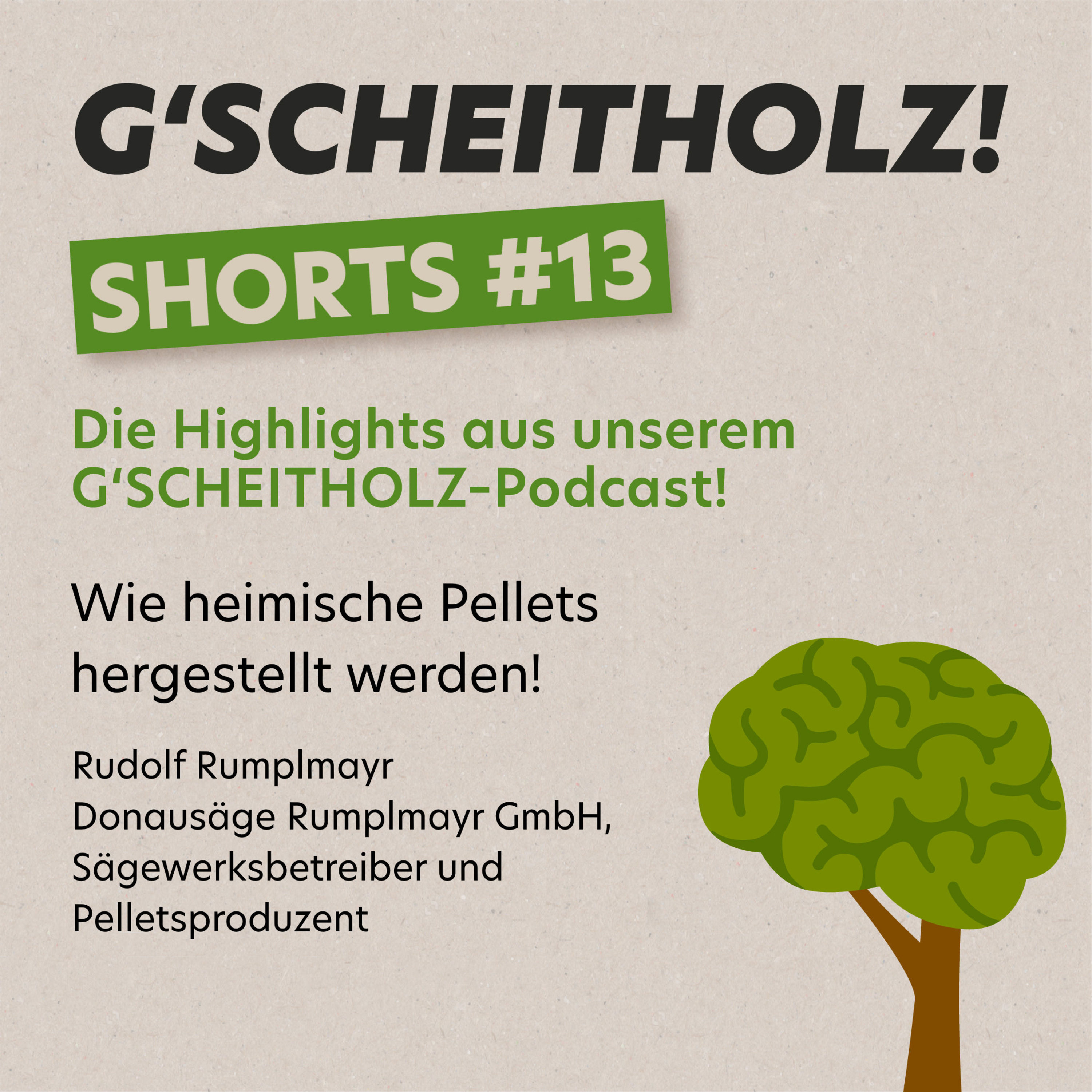 G'SCHEITHOLZ! SHORTS #13 – Holz-Pellets: Alles was man darüber wissen muss!