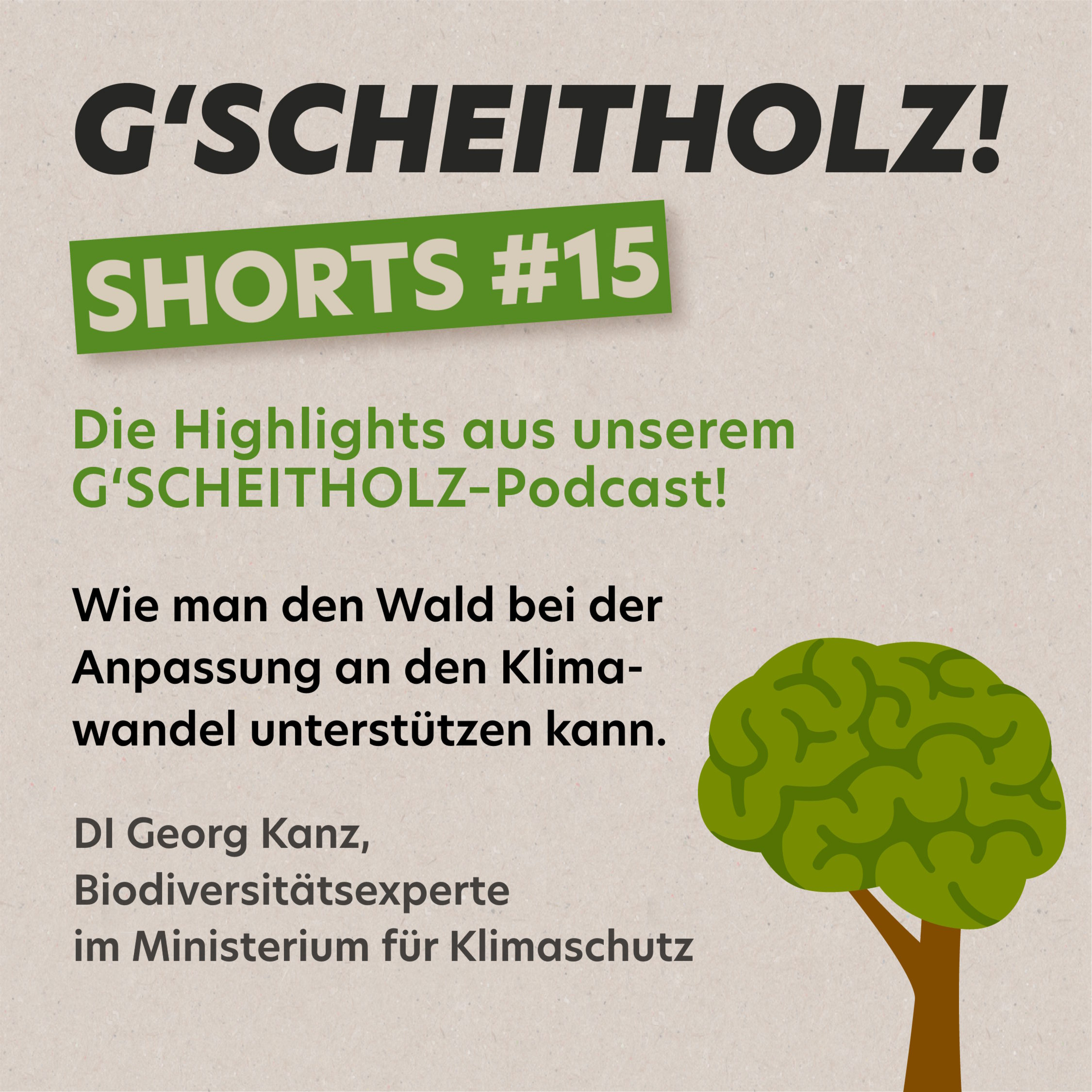 G'SCHEITHOLZ! SHORTS #15 – Waldumbau im Klimawandel in der Praxis