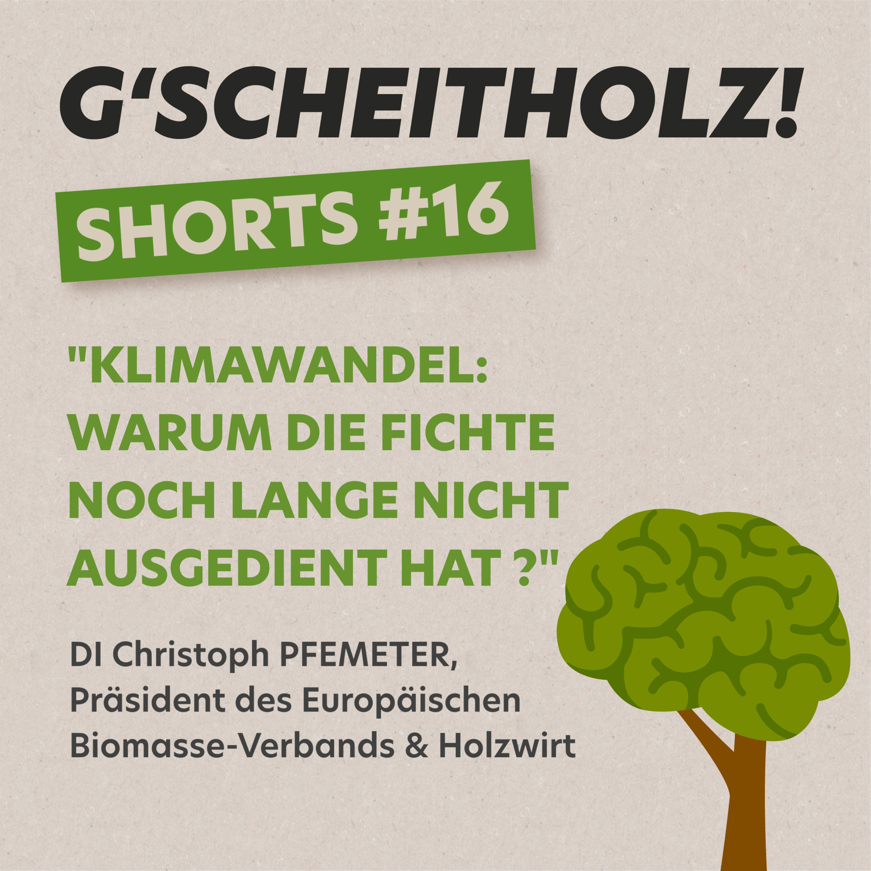 G'SCHEITHOLZ! SHORTS #16 – Tradition und Moderne im Wald