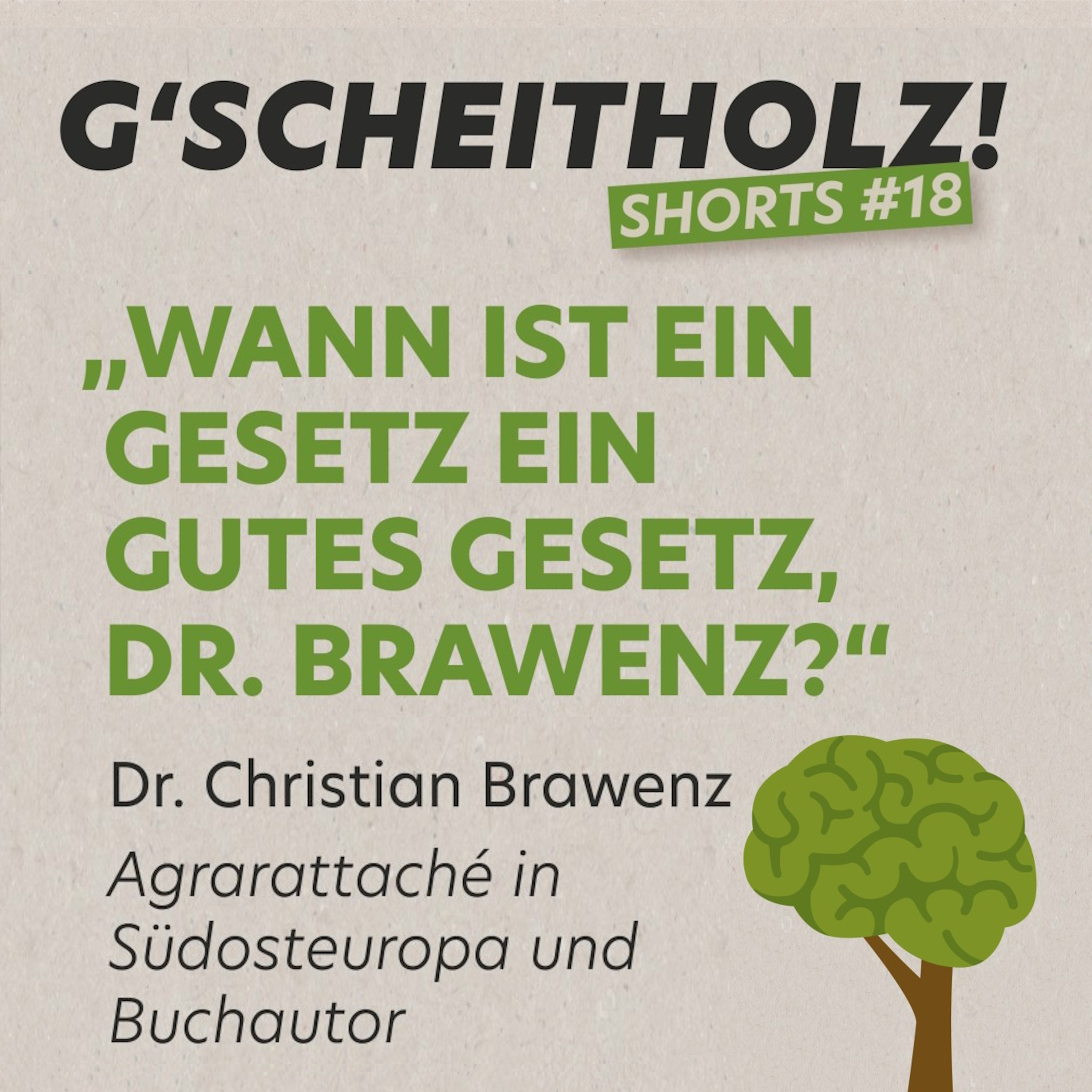 G'SCHEITHOLZ! Shorts #18 – Der Wald: lange gefürchtet, heute streng geschützt.