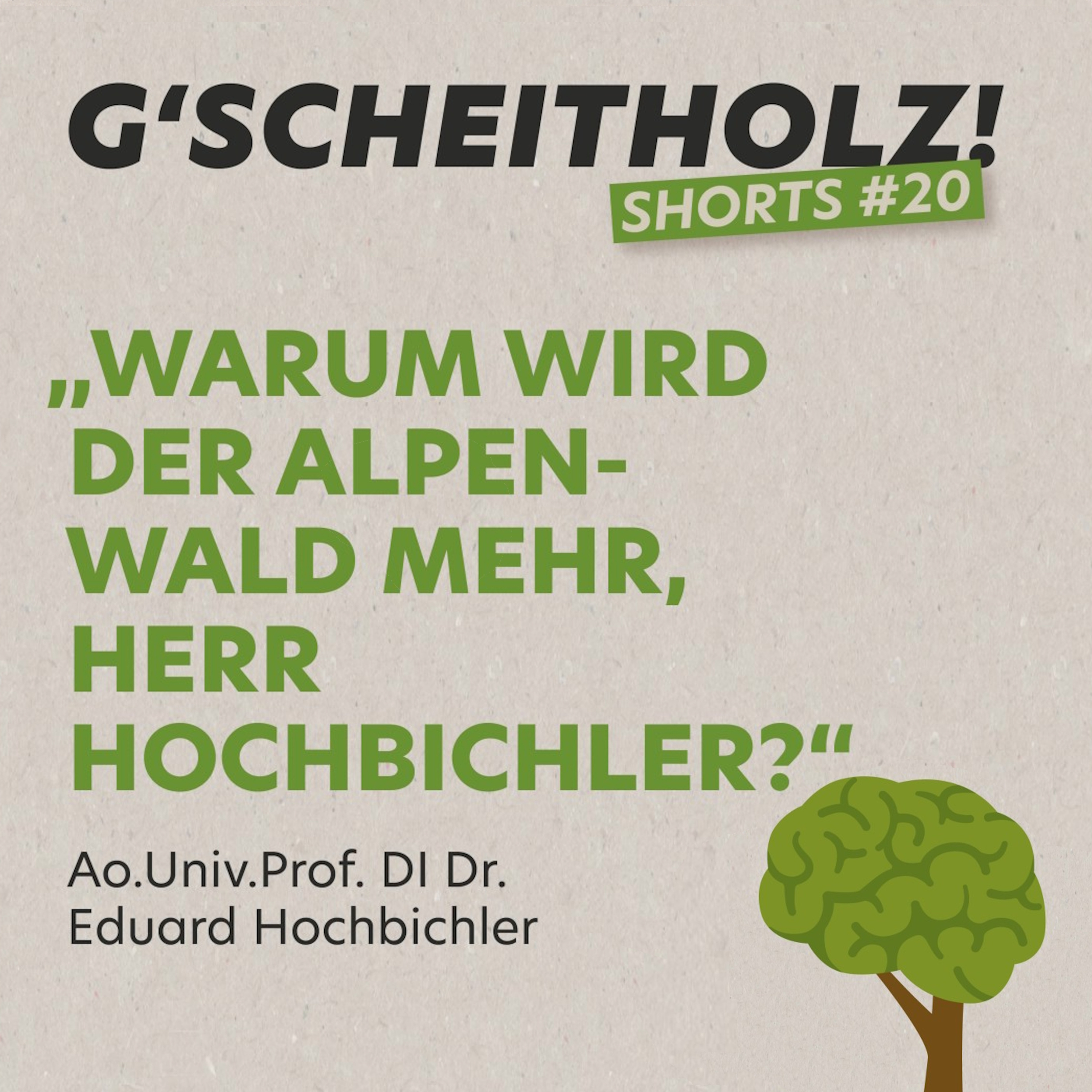 G'SCHEITHOLZ! Shorts #20 - Warum wird der Alpenwald mehr, Herr Hochbichler ?