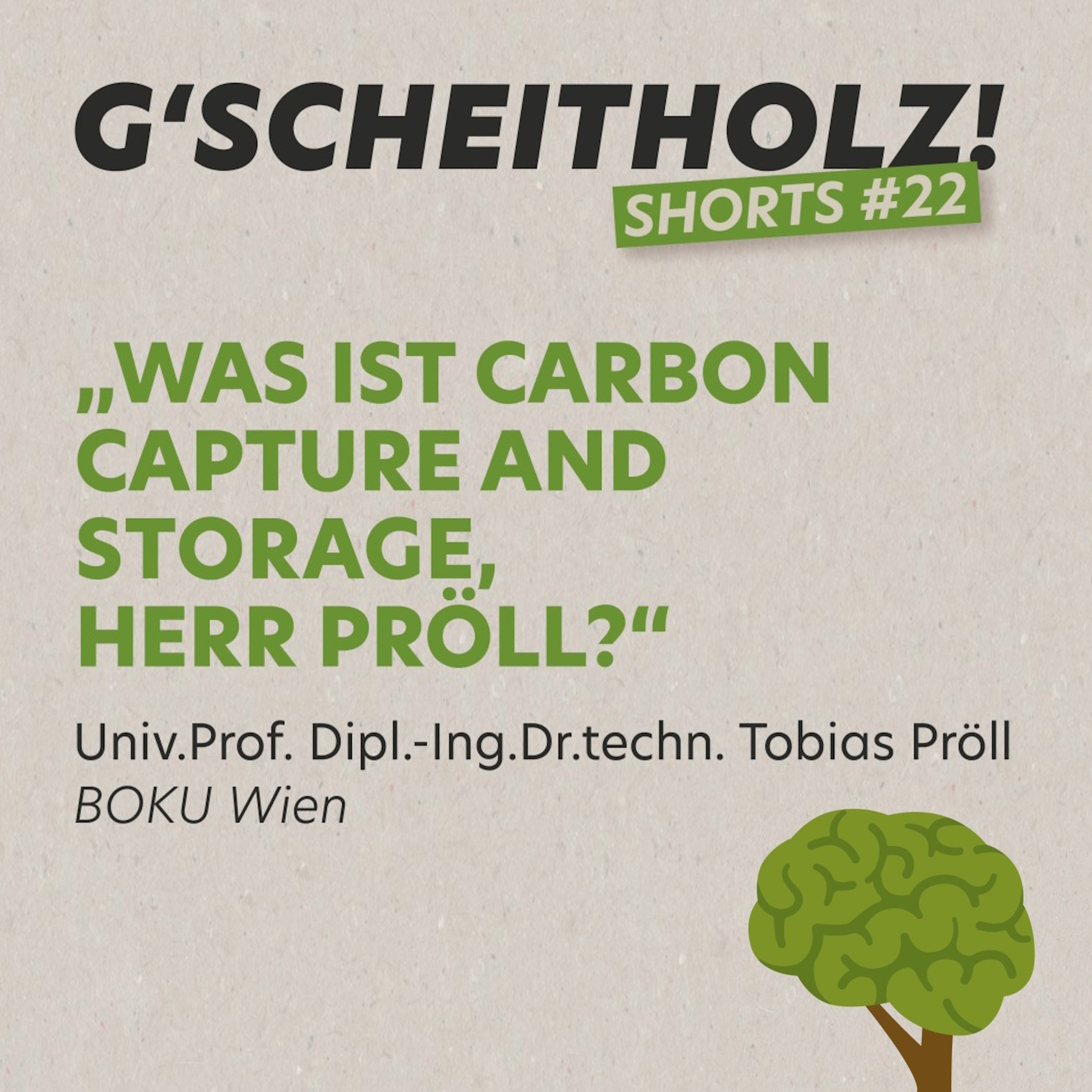 G'SCHEITHOLZ! SHORTS #22 – Wie Carbon Capture & Storage funktioniert