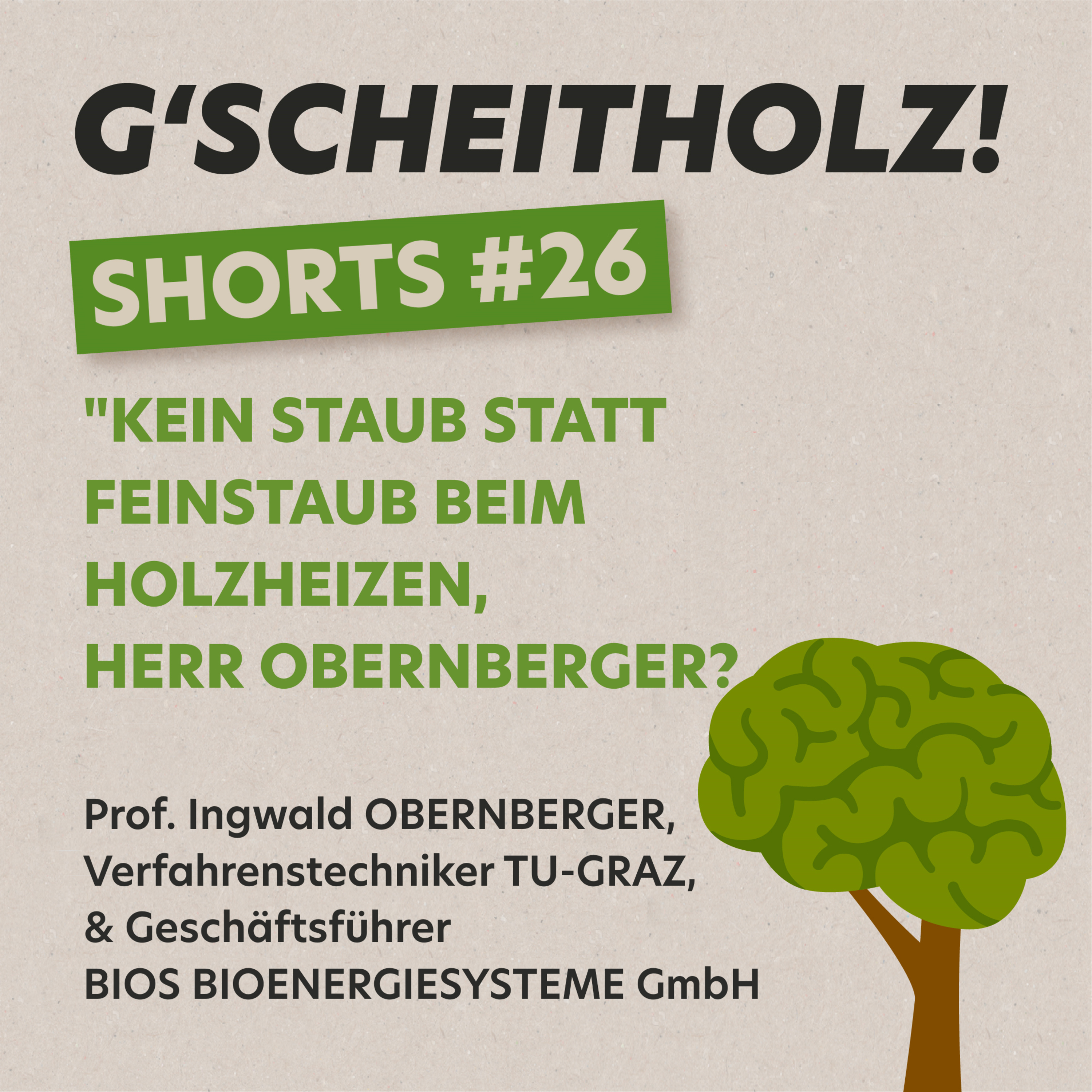 G’SCHEITHOLZ! SHORTS #26 – Kein Staub statt Feinstaub beim Holzheizen, Herr Obernberger?