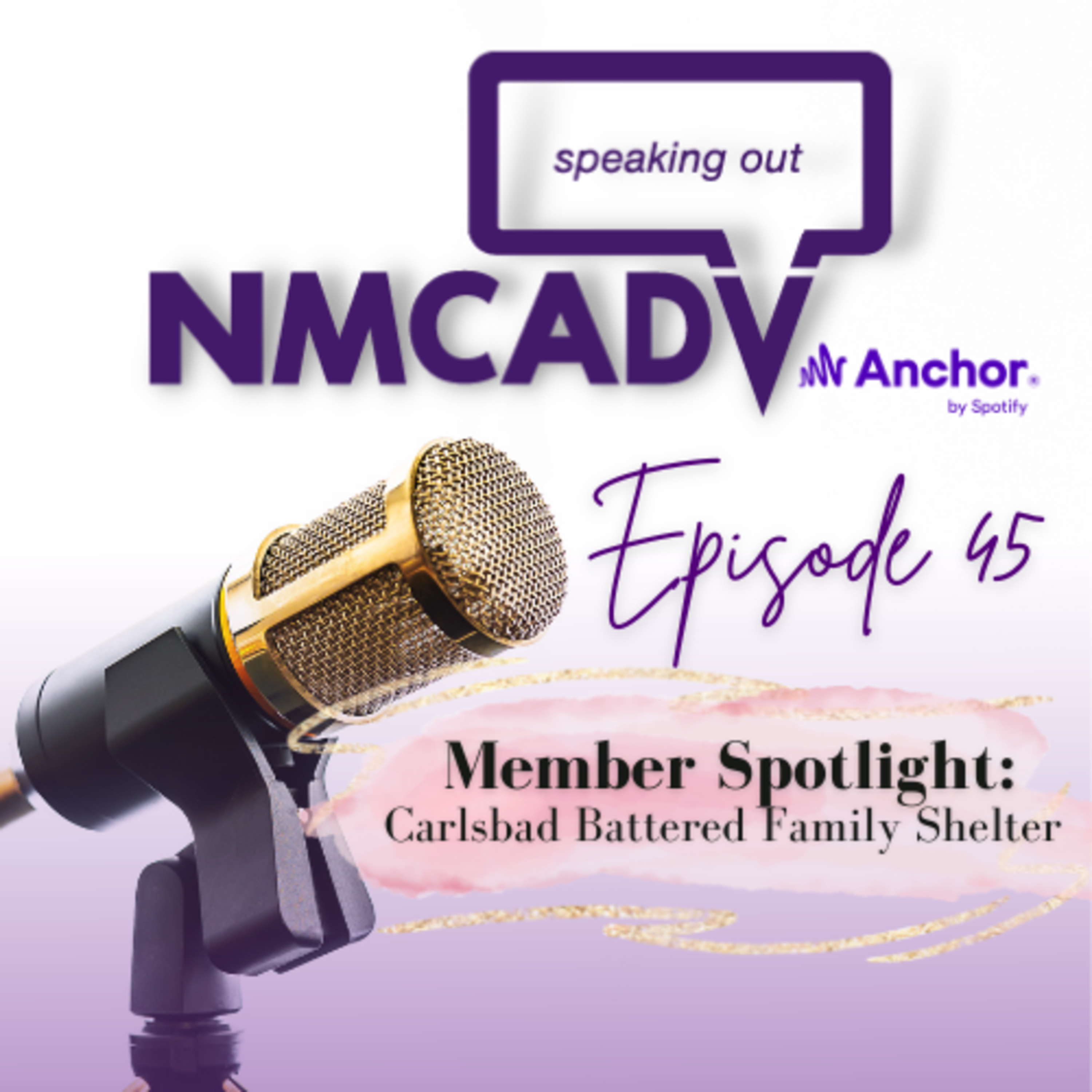 NMCADV Speaking Out Podcast