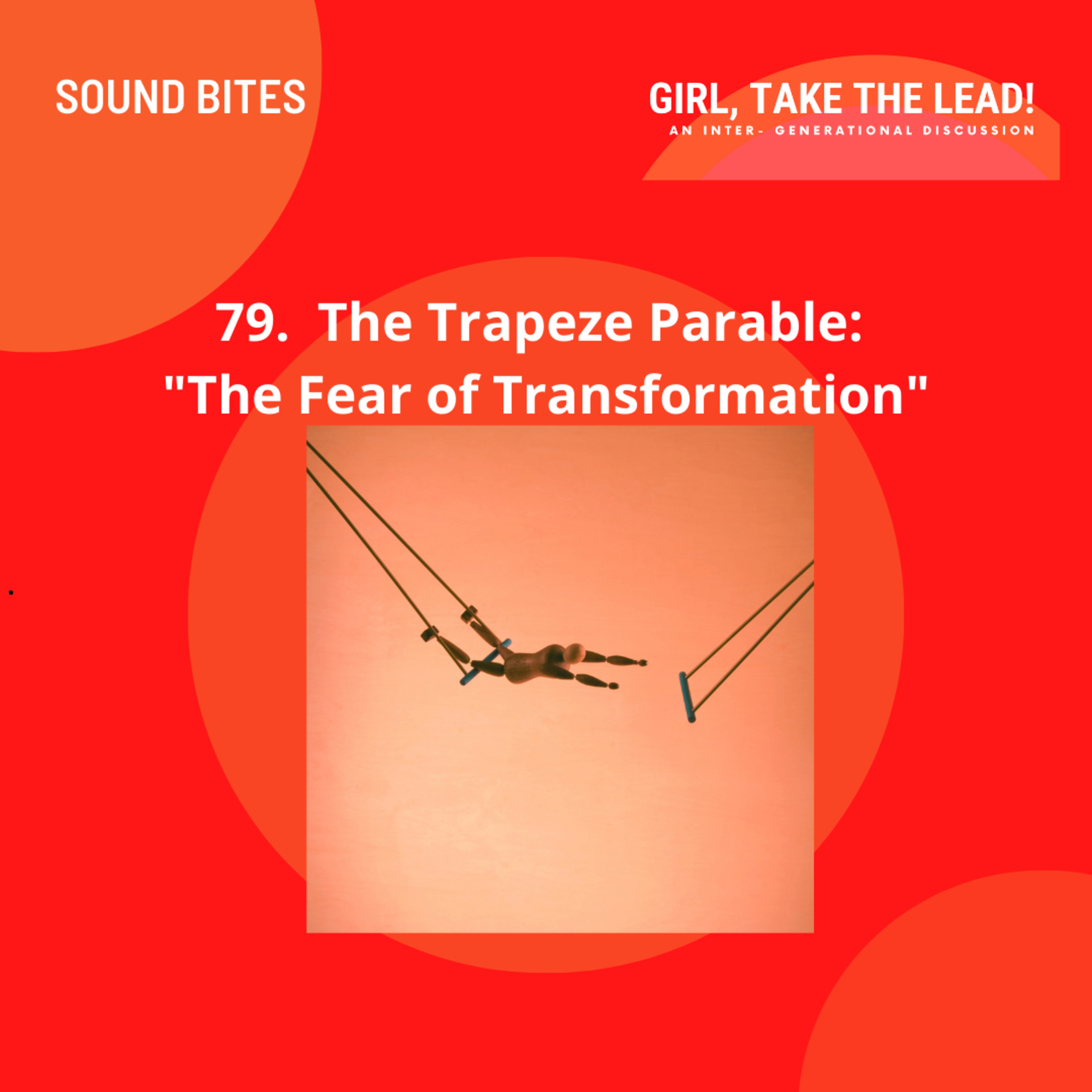 79. Sound Bite: Trapeze Parable - Warriors of the Heart by Danaan Parry, The Transformation of Fear episode artwork