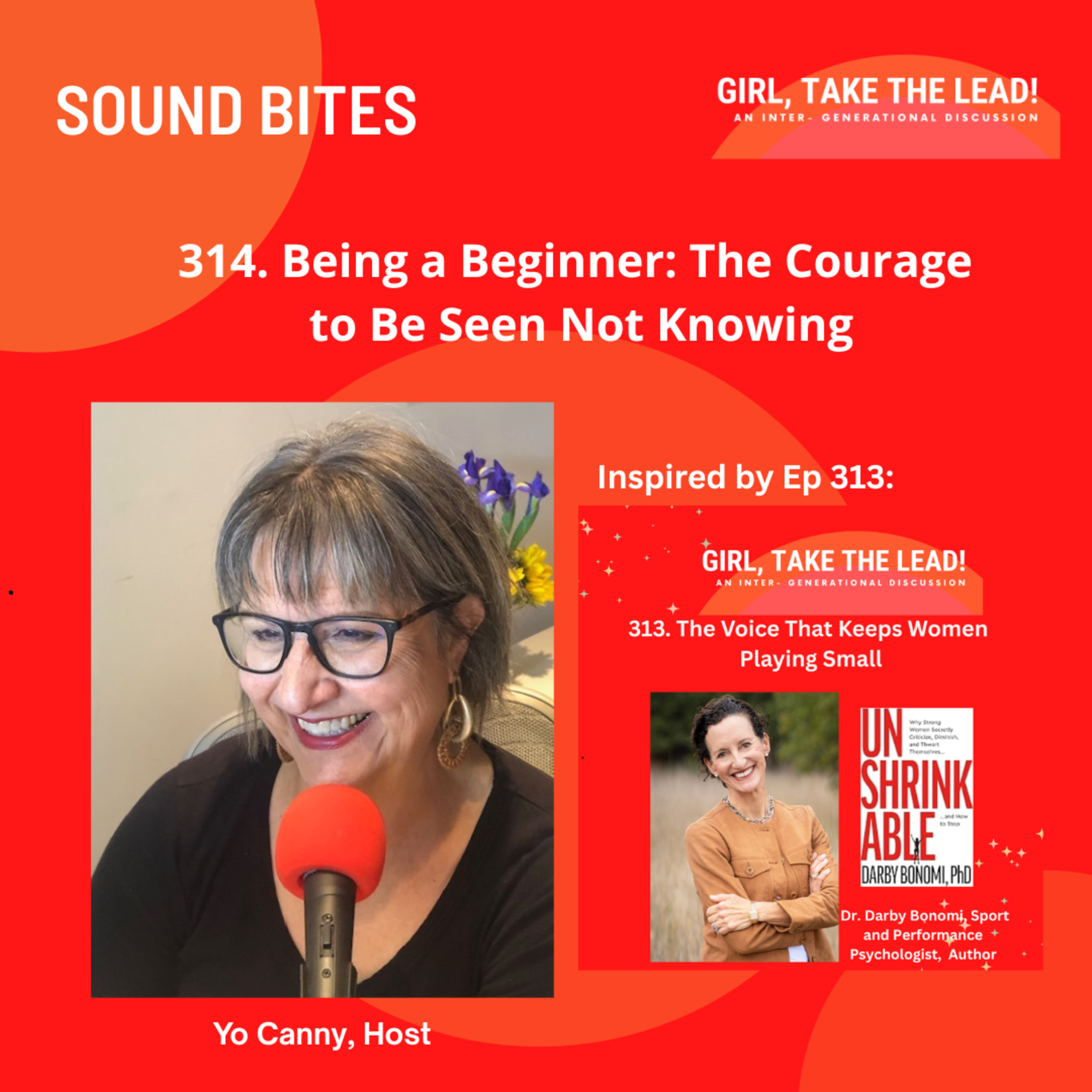 314. SOUND BITE: Being a Beginner: The Courage to Be Seen Not Knowing episode artwork