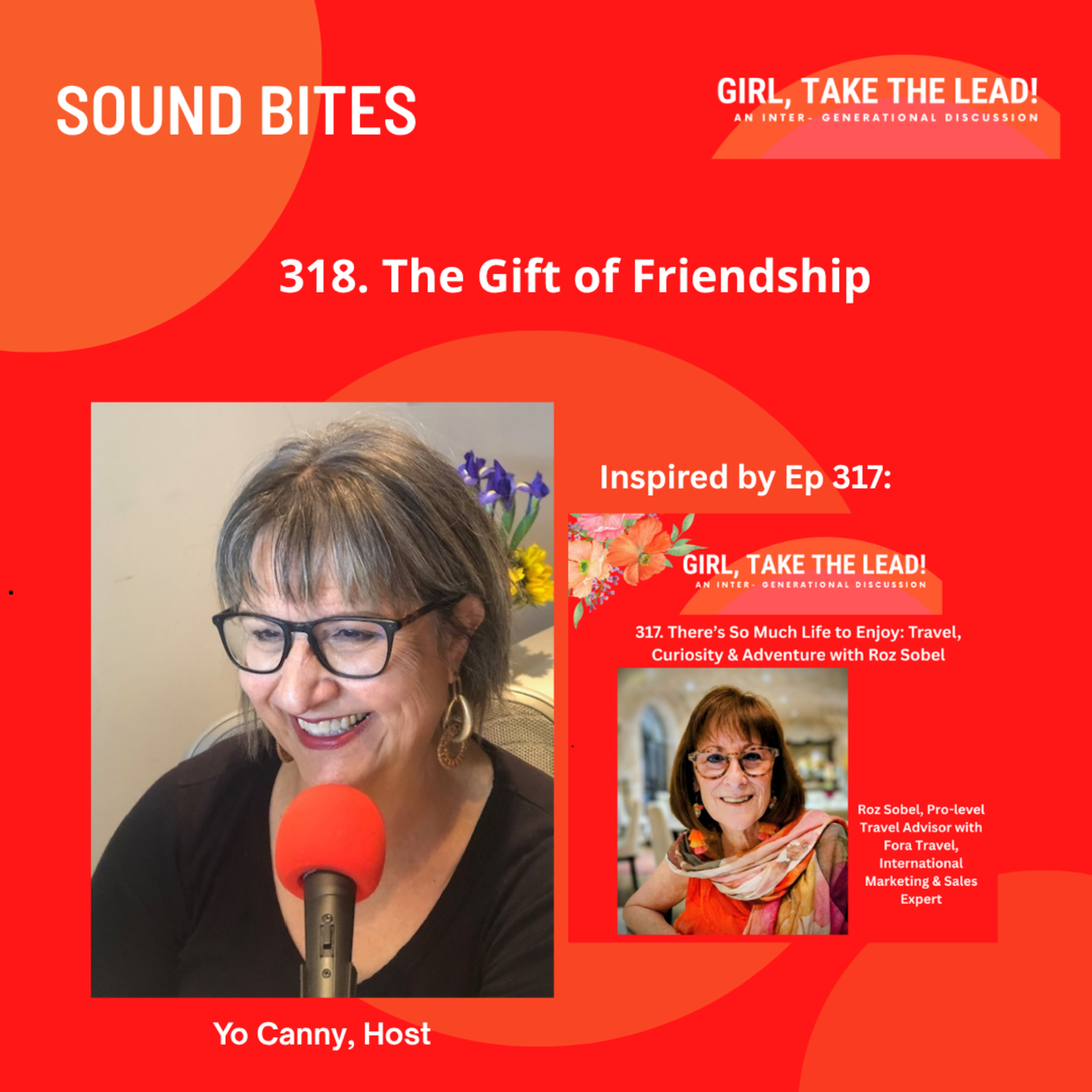 318. SOUND BITE: The Gift of Friendship episode artwork