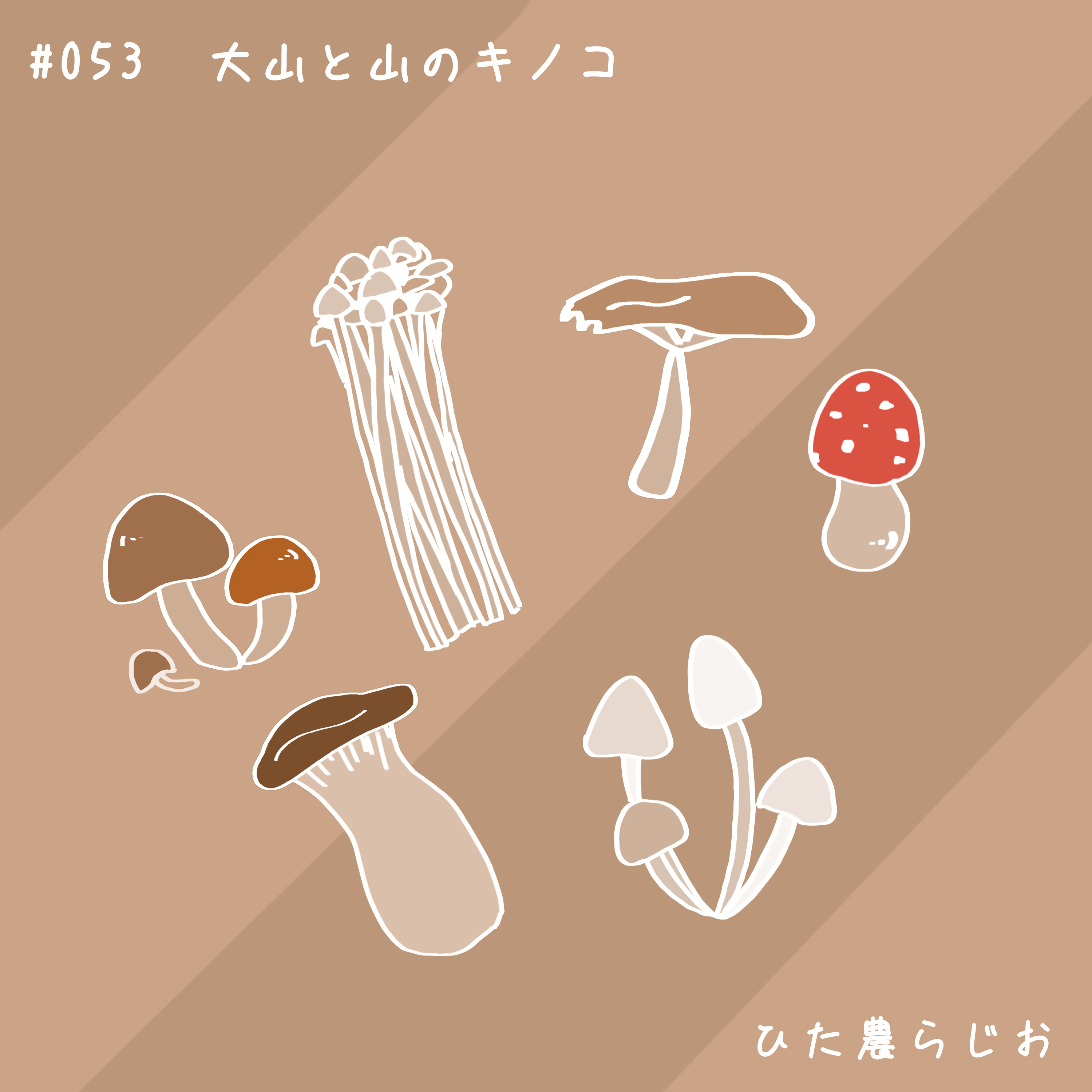 #053大山と山のキノコ episode artwork