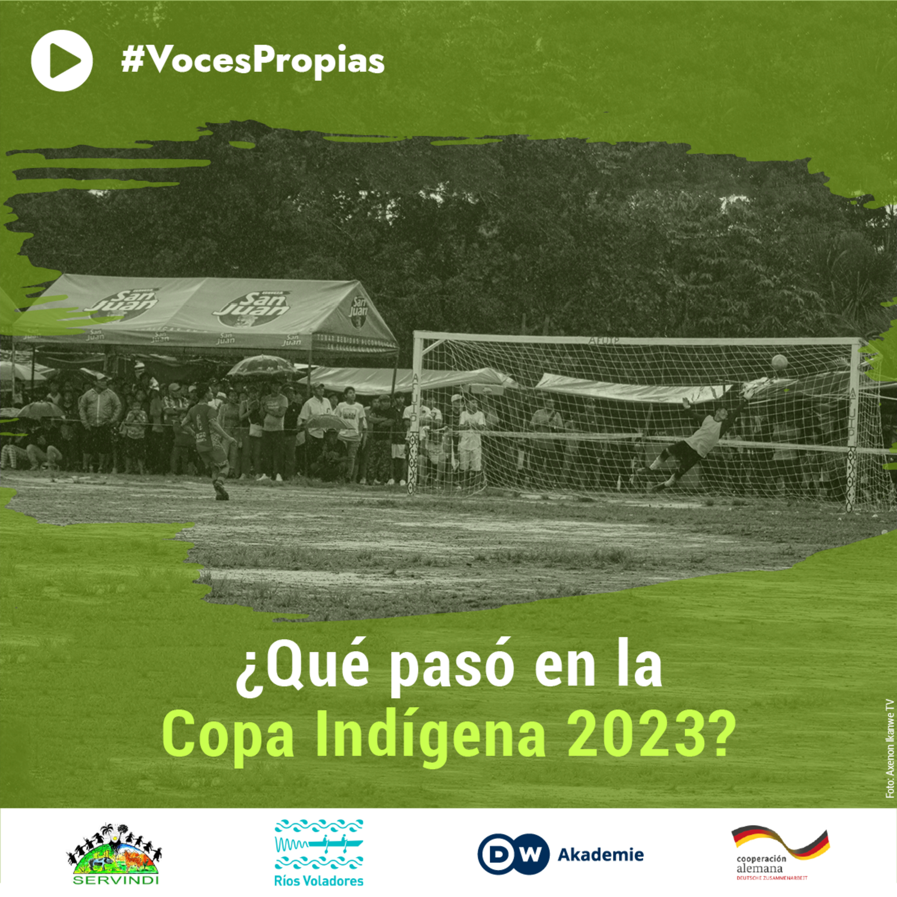 Voces propias