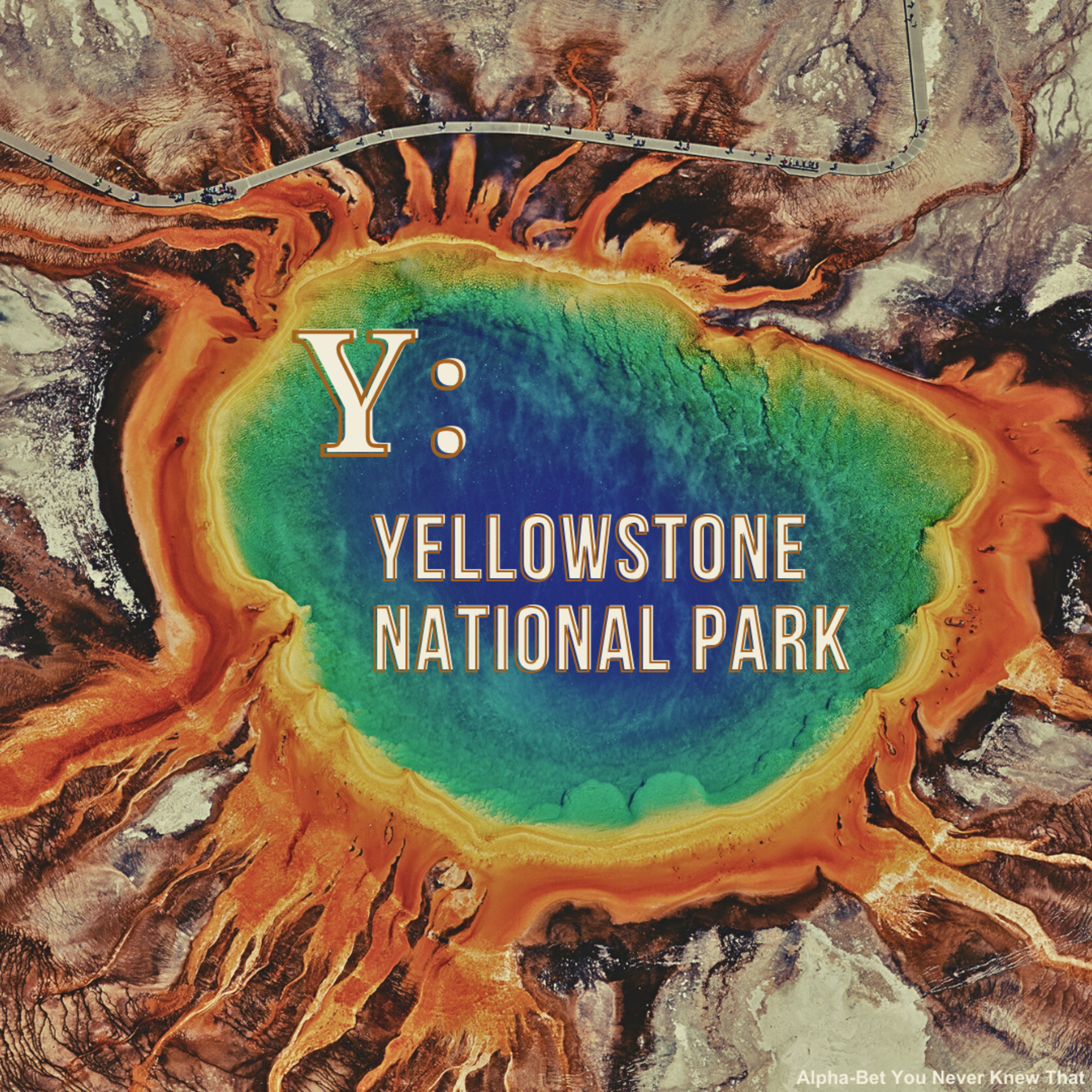 Alpha-Bet You Never Knew That