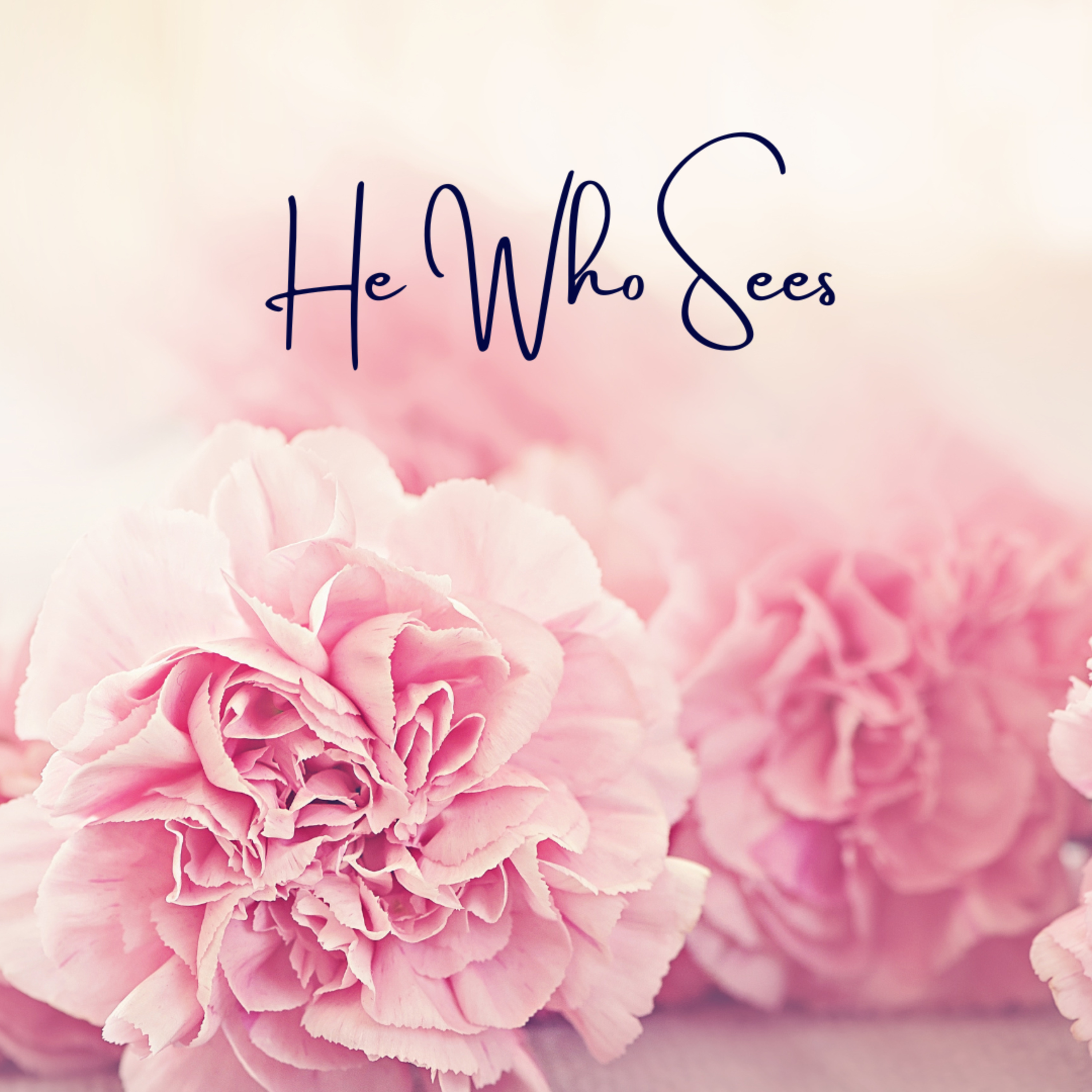 He Who Sees episode artwork