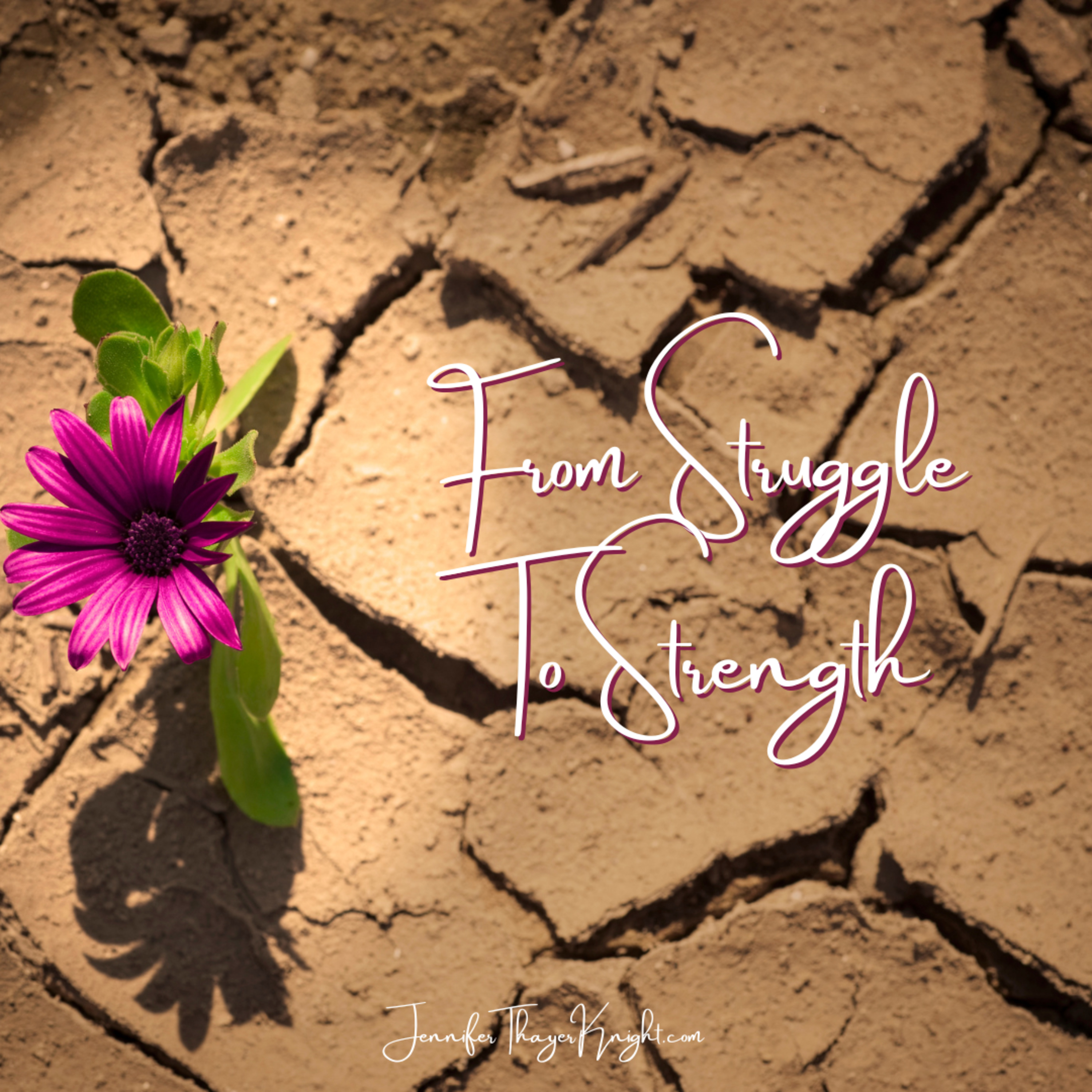 From Struggle To Strength episode artwork
