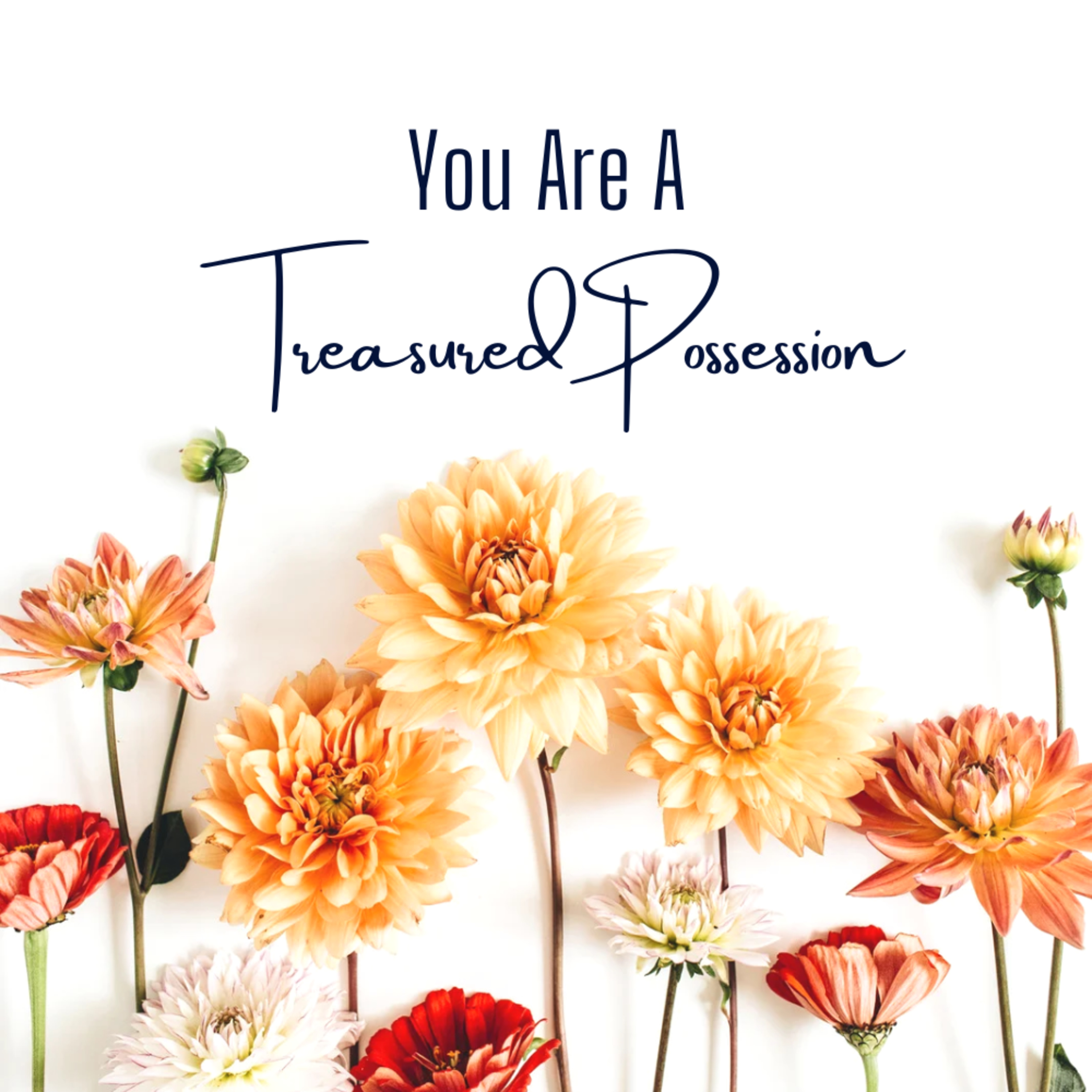 You Are A Treasured Possession episode artwork