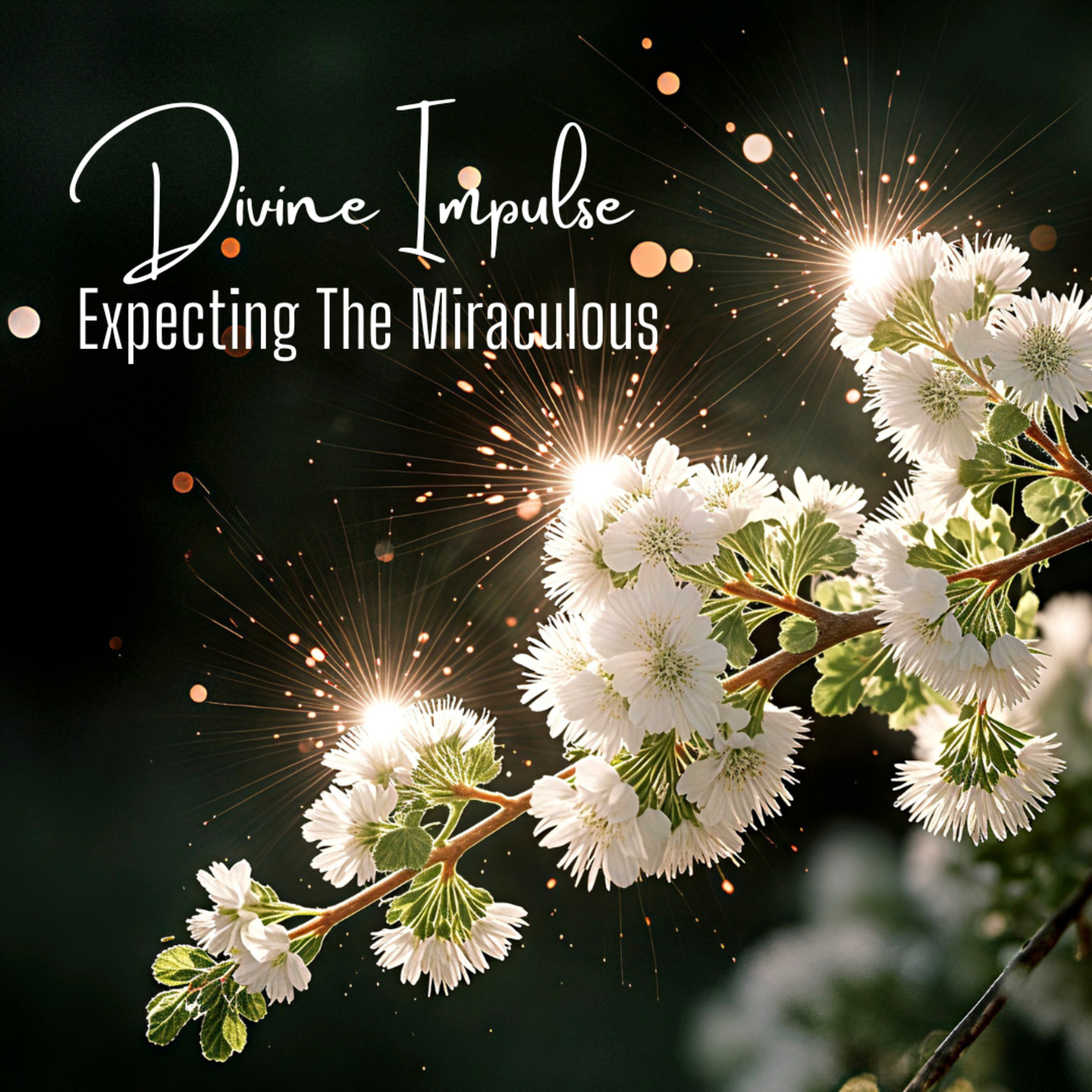 Divine Impulse - Expecting The Miraculous episode artwork