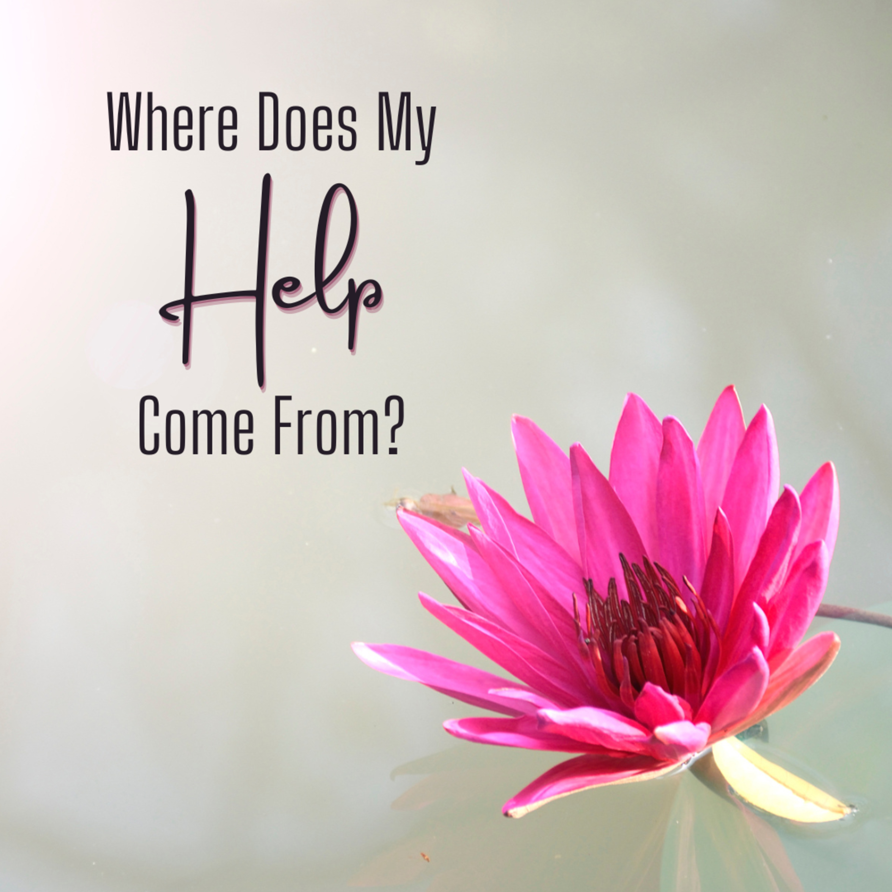 Where Does My Help Come From? episode artwork