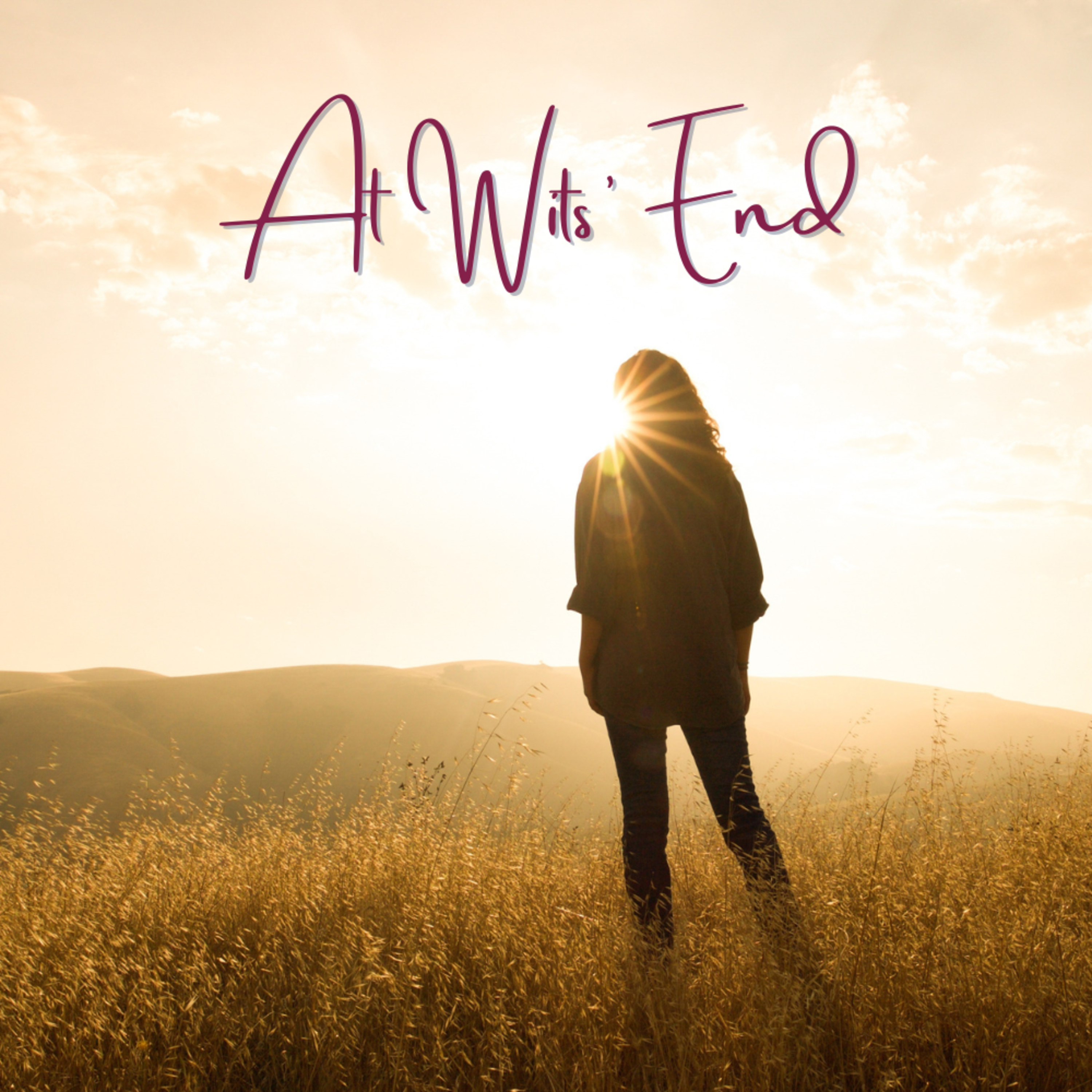 At Wits' End episode artwork