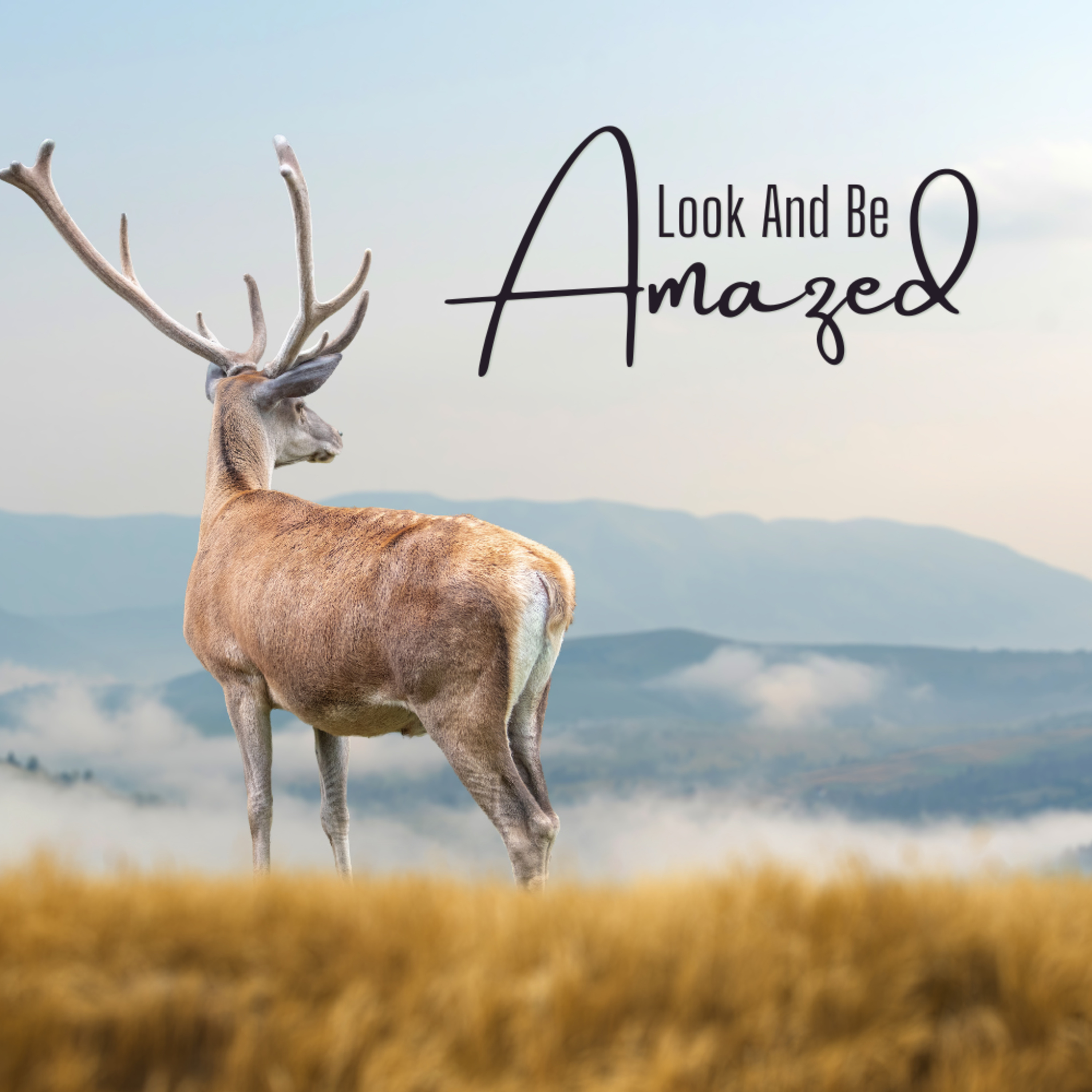 Look And Be Amazed episode artwork