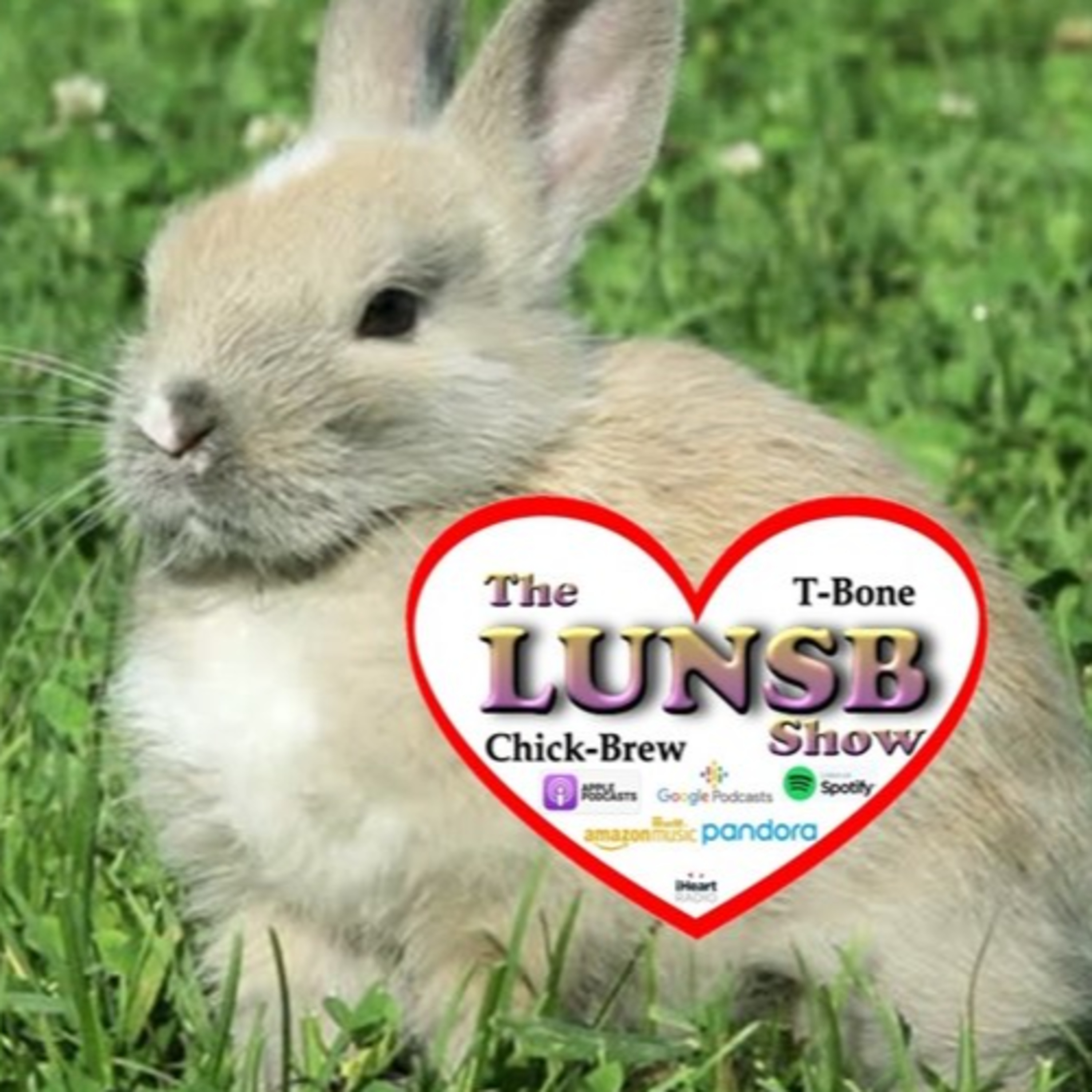The LUNSB Show with T-Bone and ChickBrew
