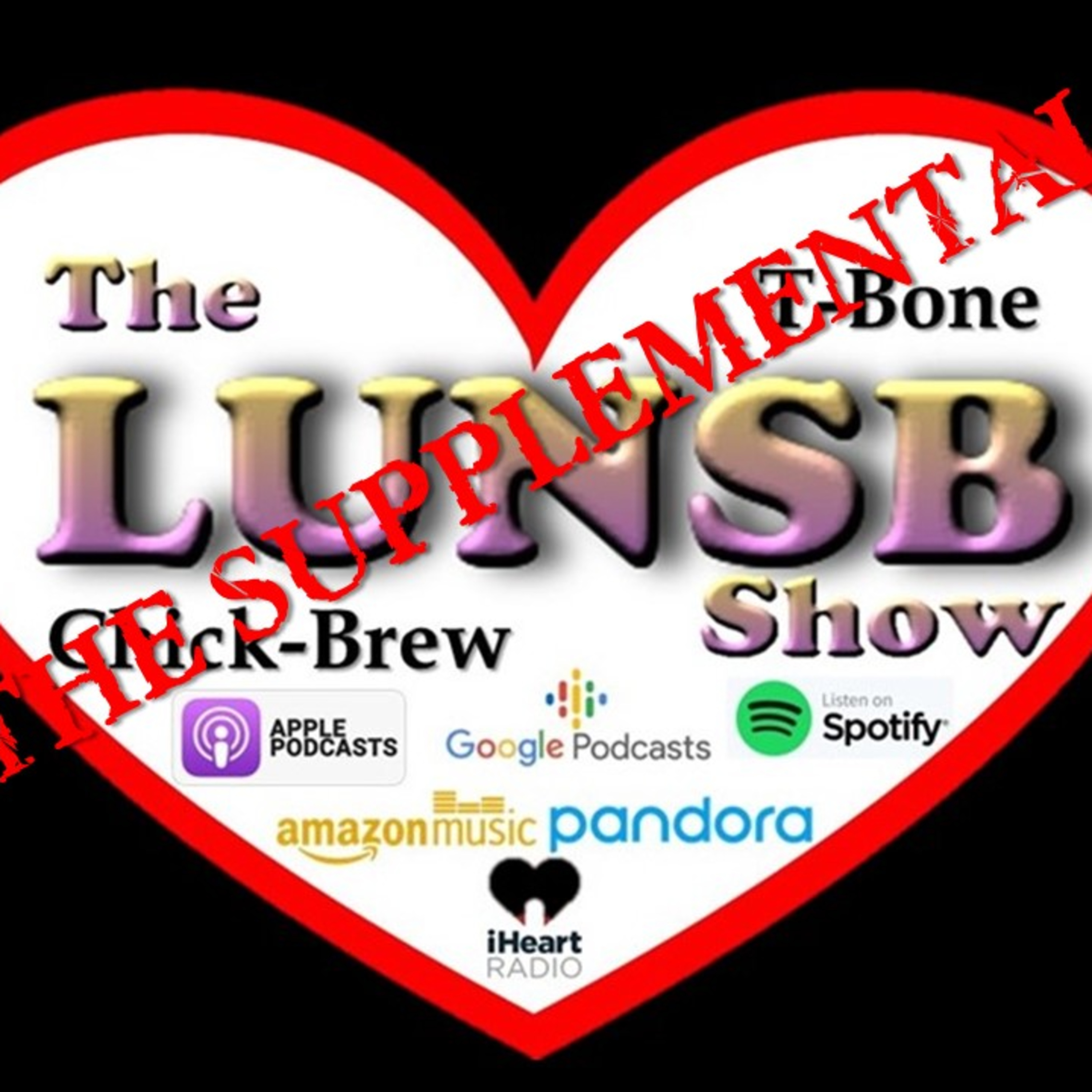 The Supplemental 40 episode artwork