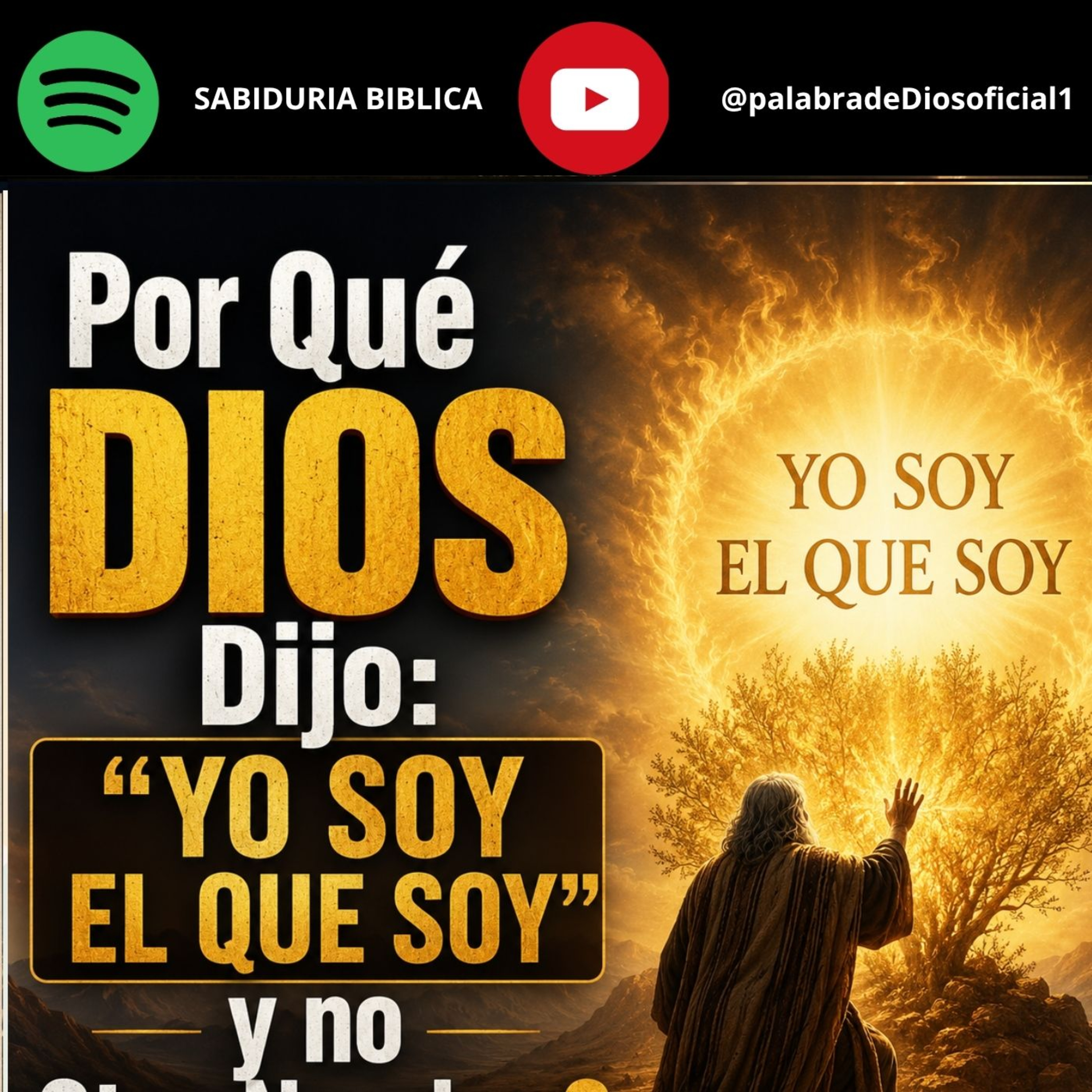 ¿Por Qué Dios Dijo: “Yo Soy el que Soy” y no Otro Nombre? episode artwork