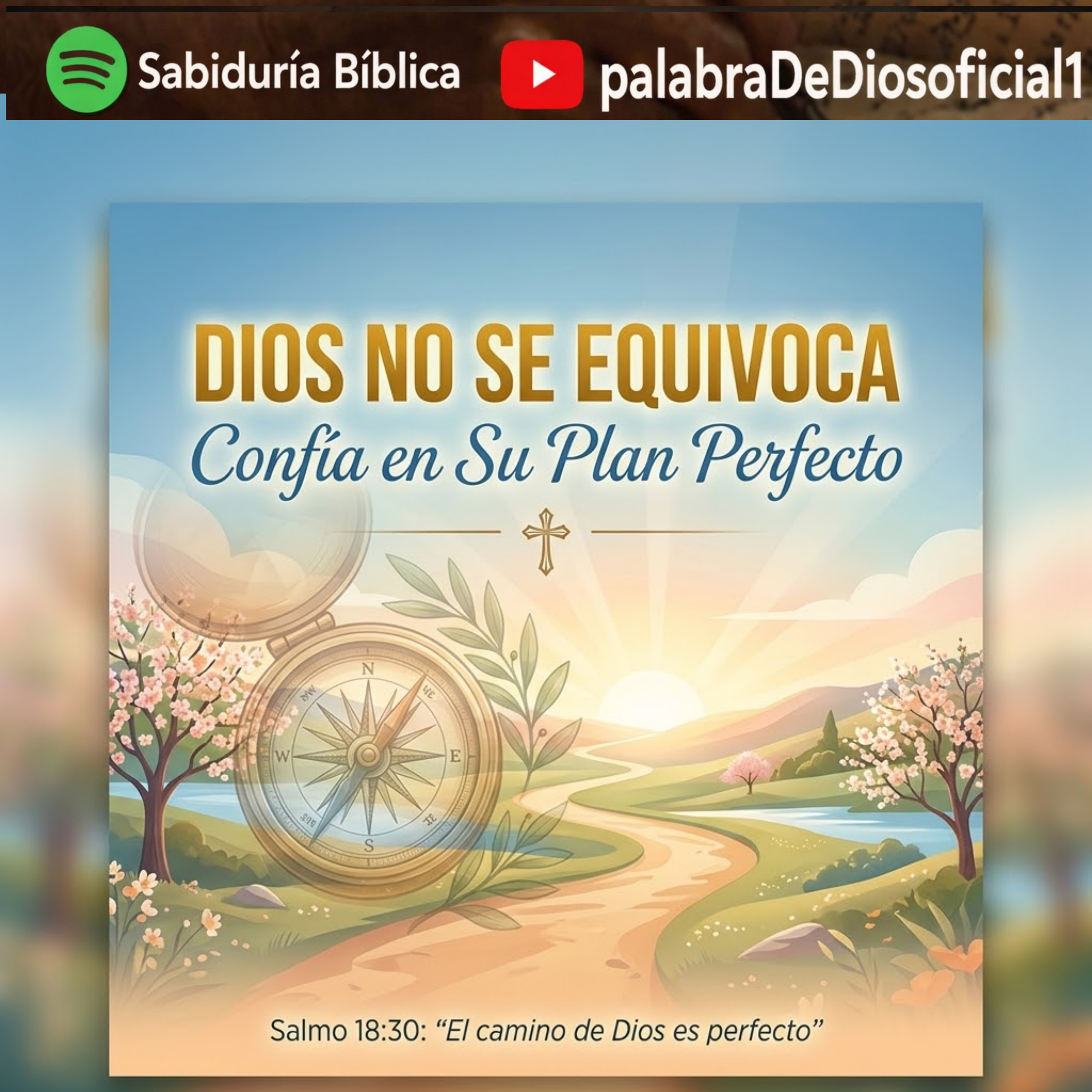 Dios No Se Equivoca: Confía en Su Plan Perfecto episode artwork