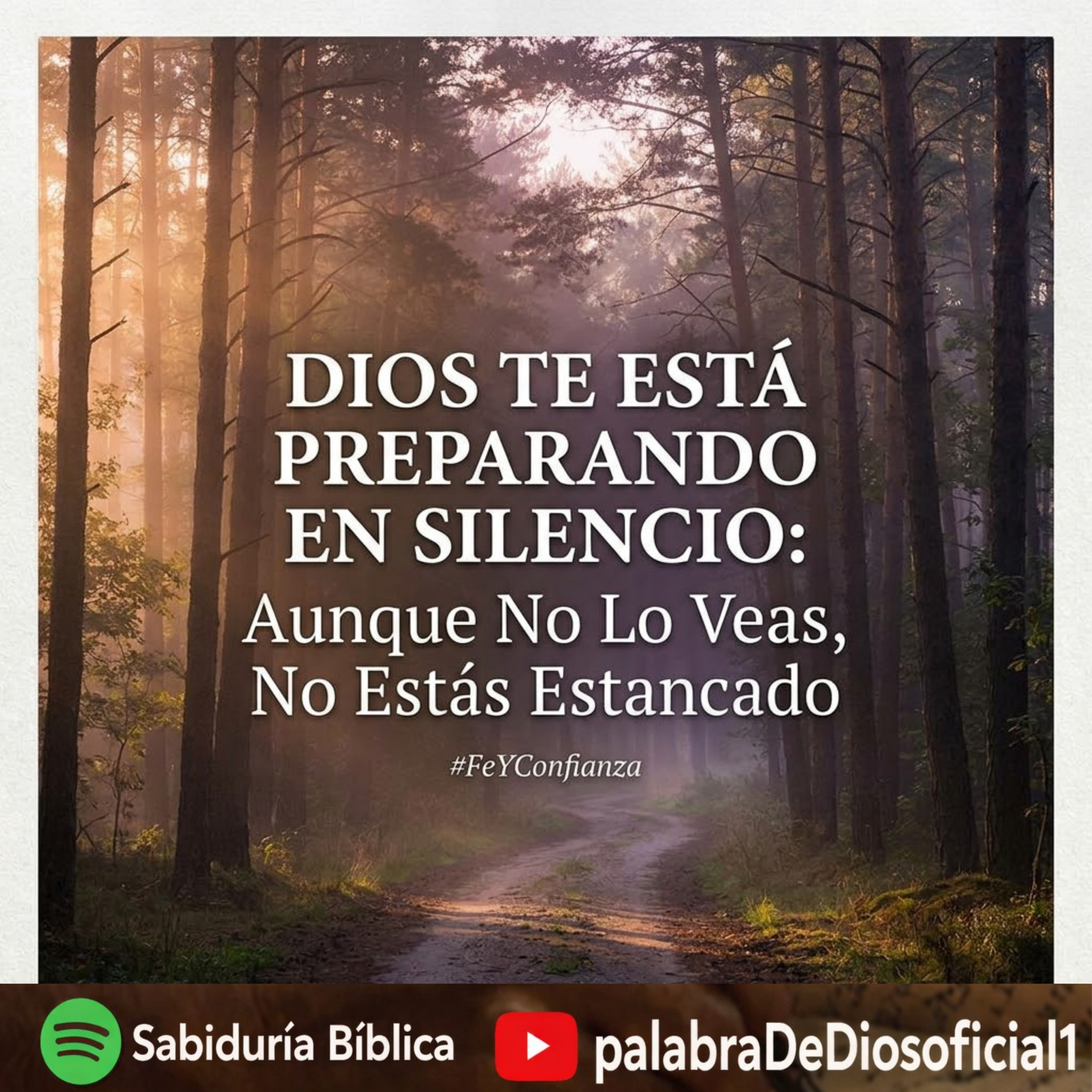 Dios Te Está Preparando en Silencio: Aunque No Lo Veas, No Estás Estancado episode artwork