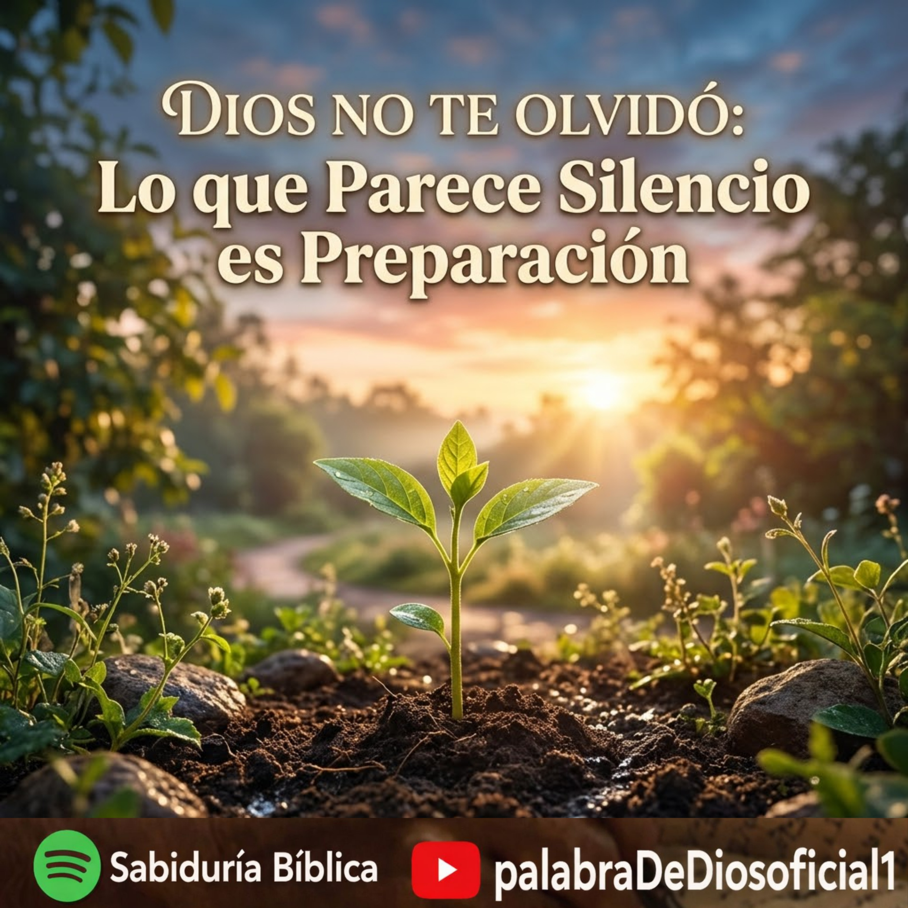 Dios no te Olvidó: Lo que Parece Silencio es Preparación episode artwork