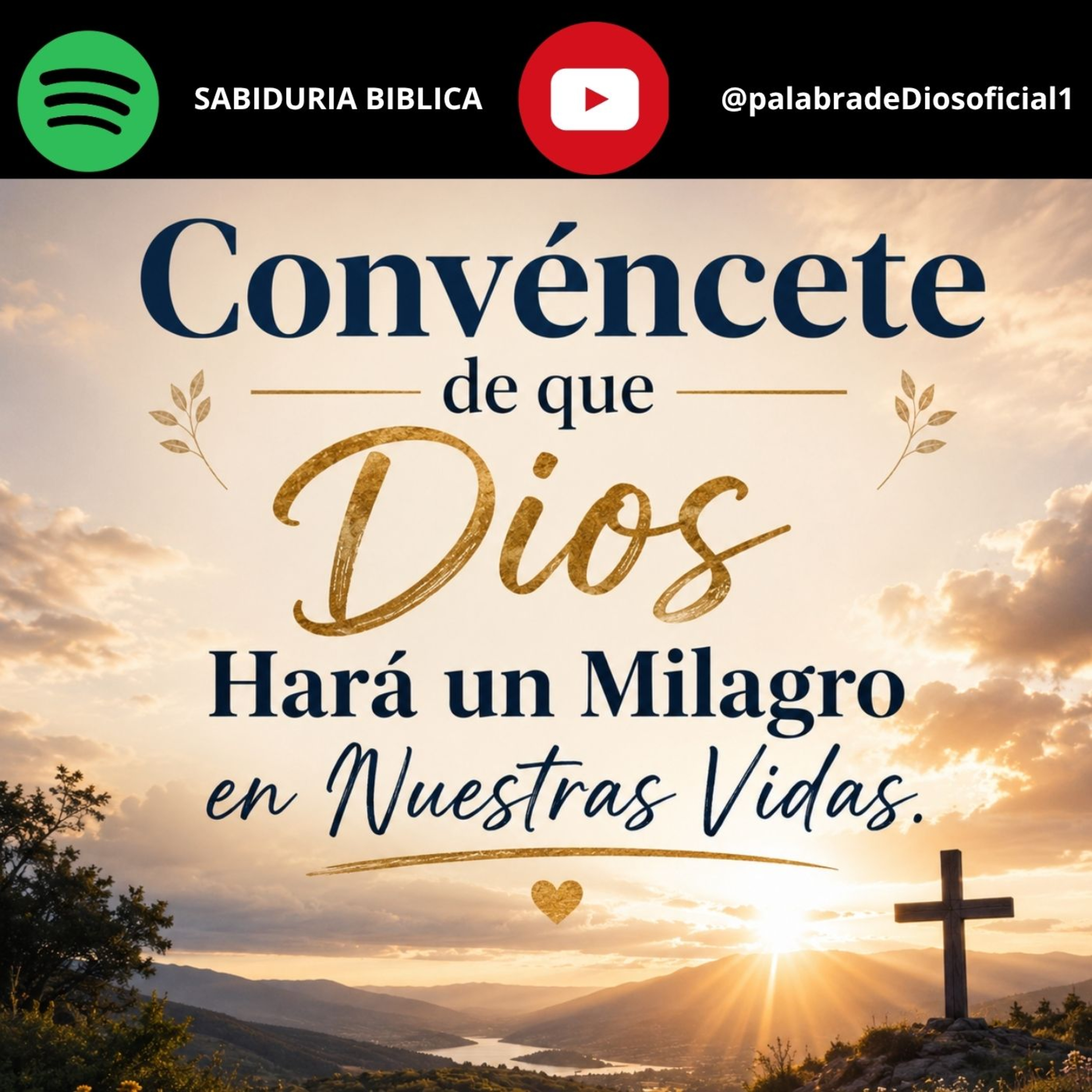 Convéncete de que Dios Hará un Milagro en Nuestras Vidas. episode artwork