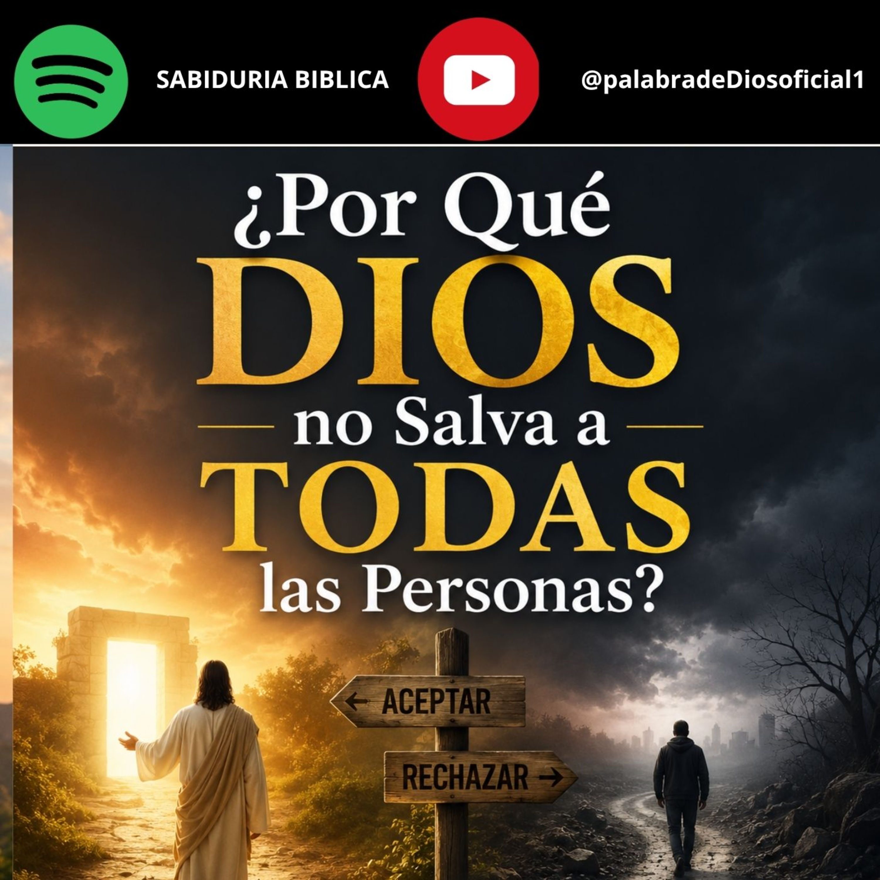 ¿Por Qué Dios no Salva a Todas las Personas? episode artwork