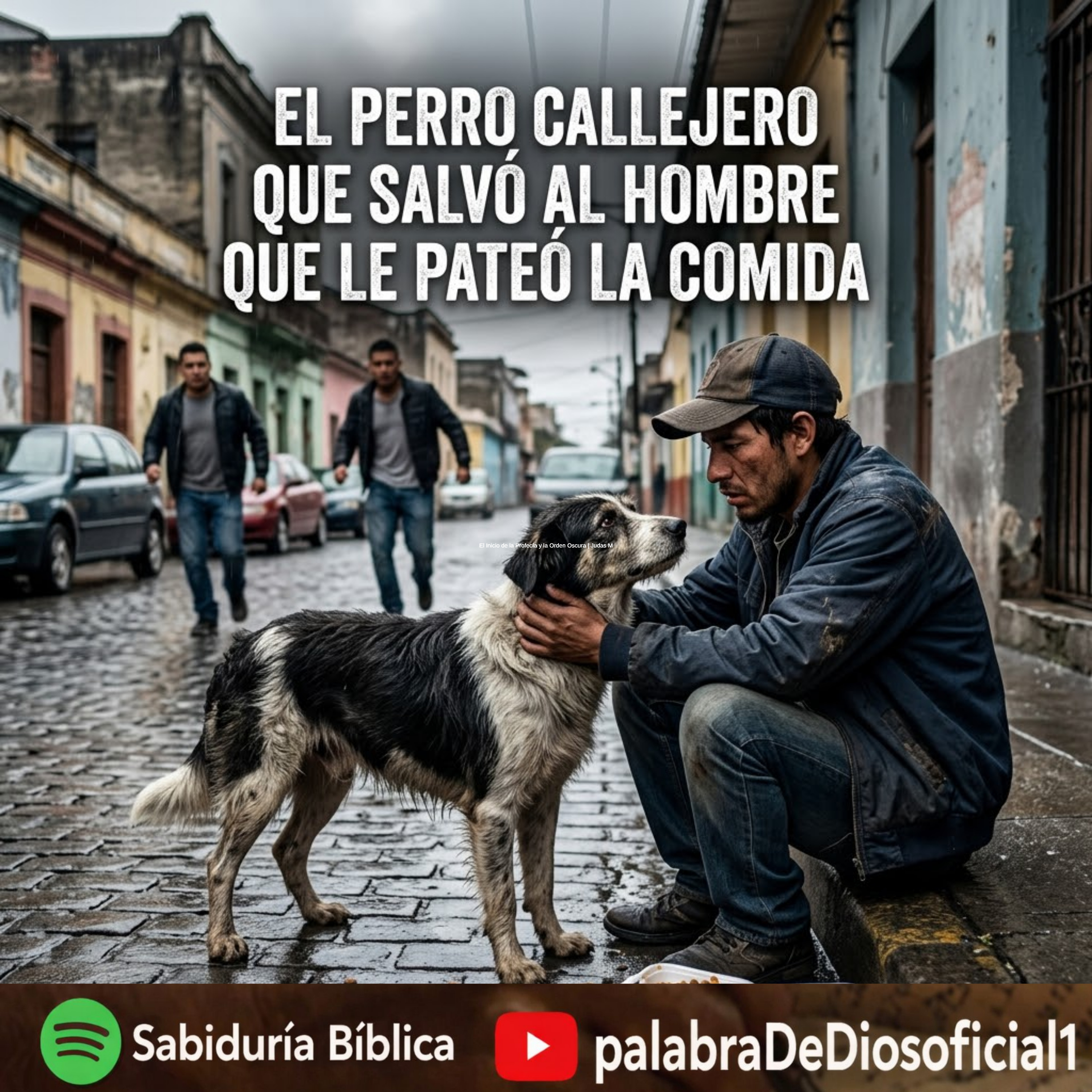 El Perro Callejero que Salvó al Hombre que le Pateó la Comida. episode artwork