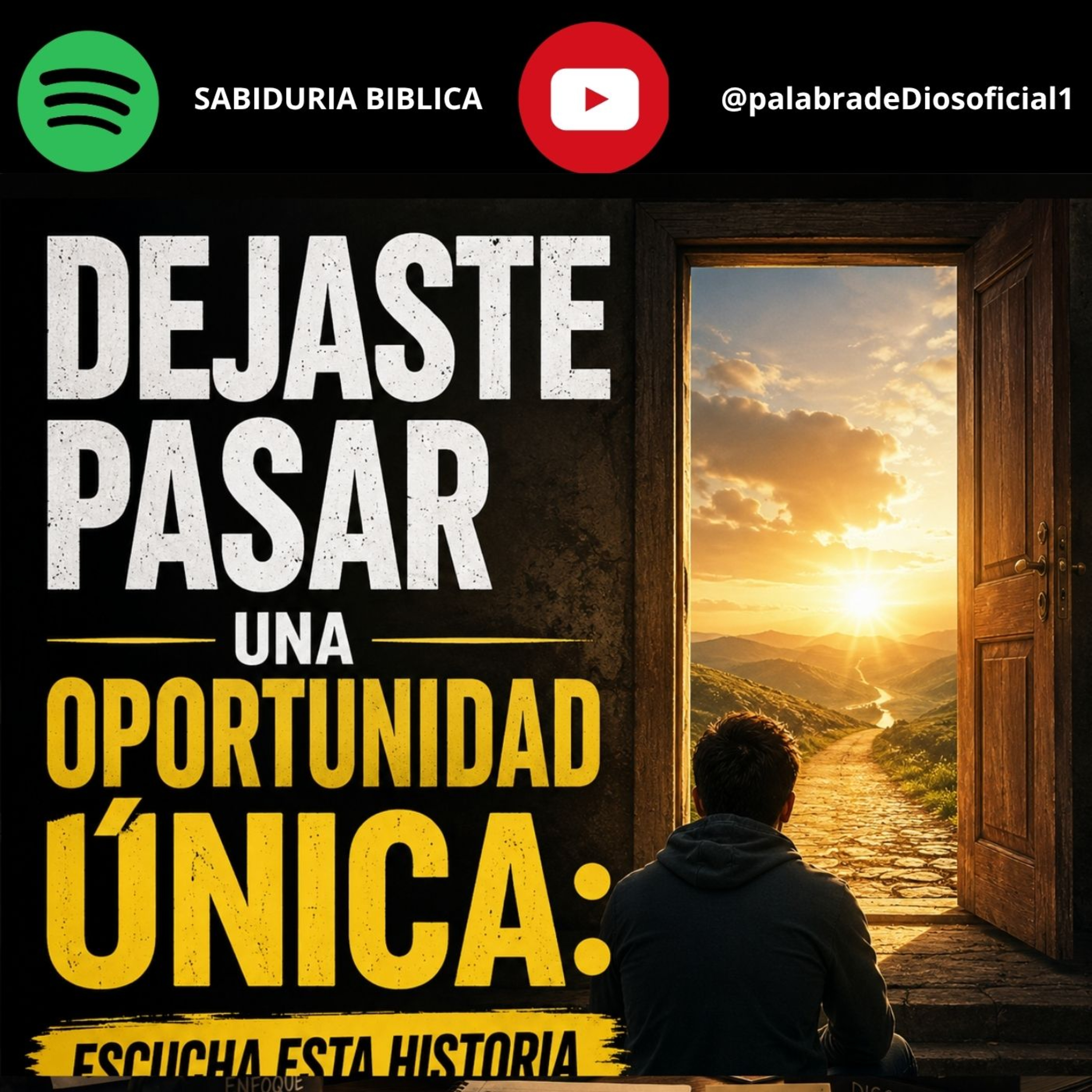 Dejaste pasar una oportunidad única: Escucha esta historia episode artwork