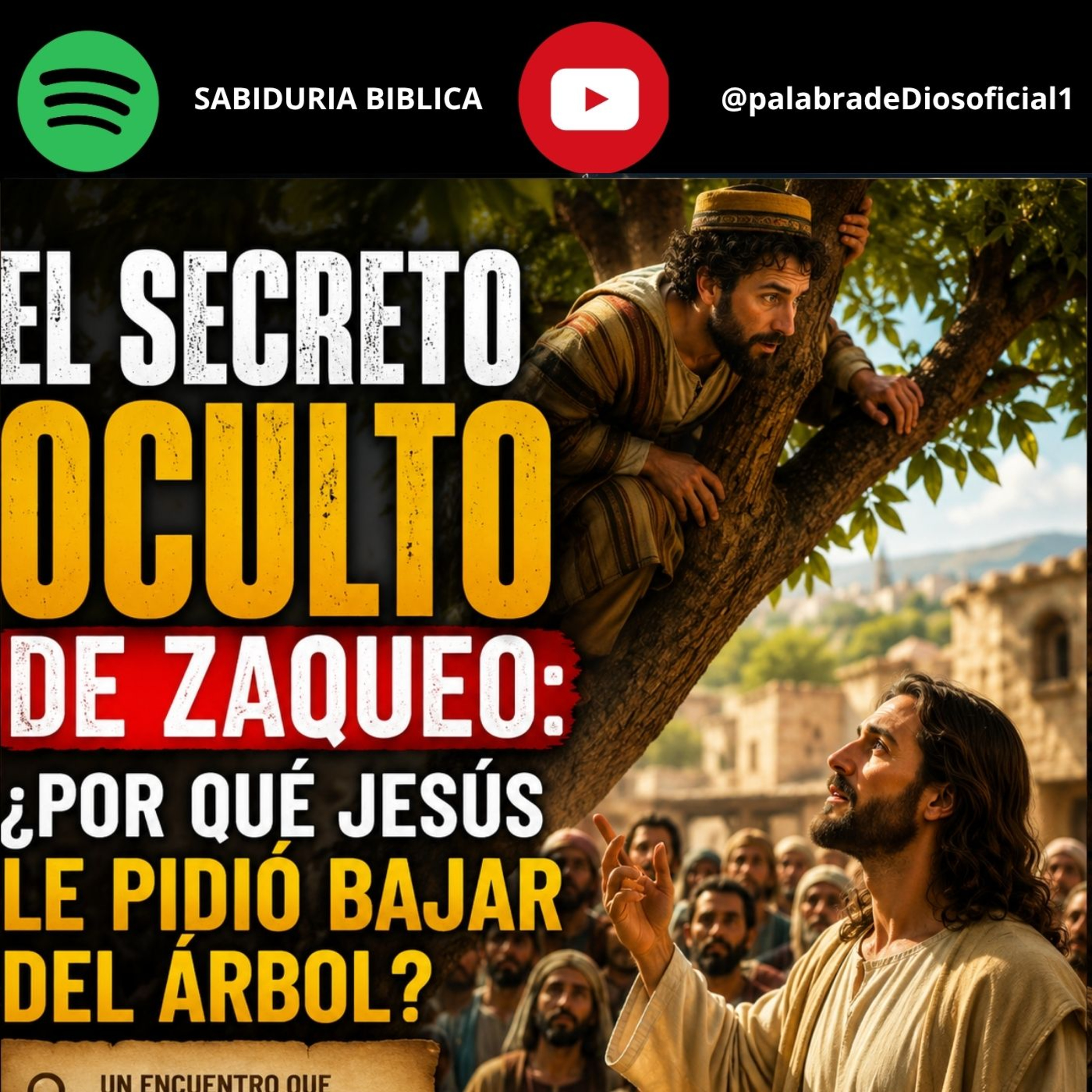 El Secreto Oculto de Zaqueo: ¿Por Qué Jesús Le Pidió Bajar del Árbol? episode artwork