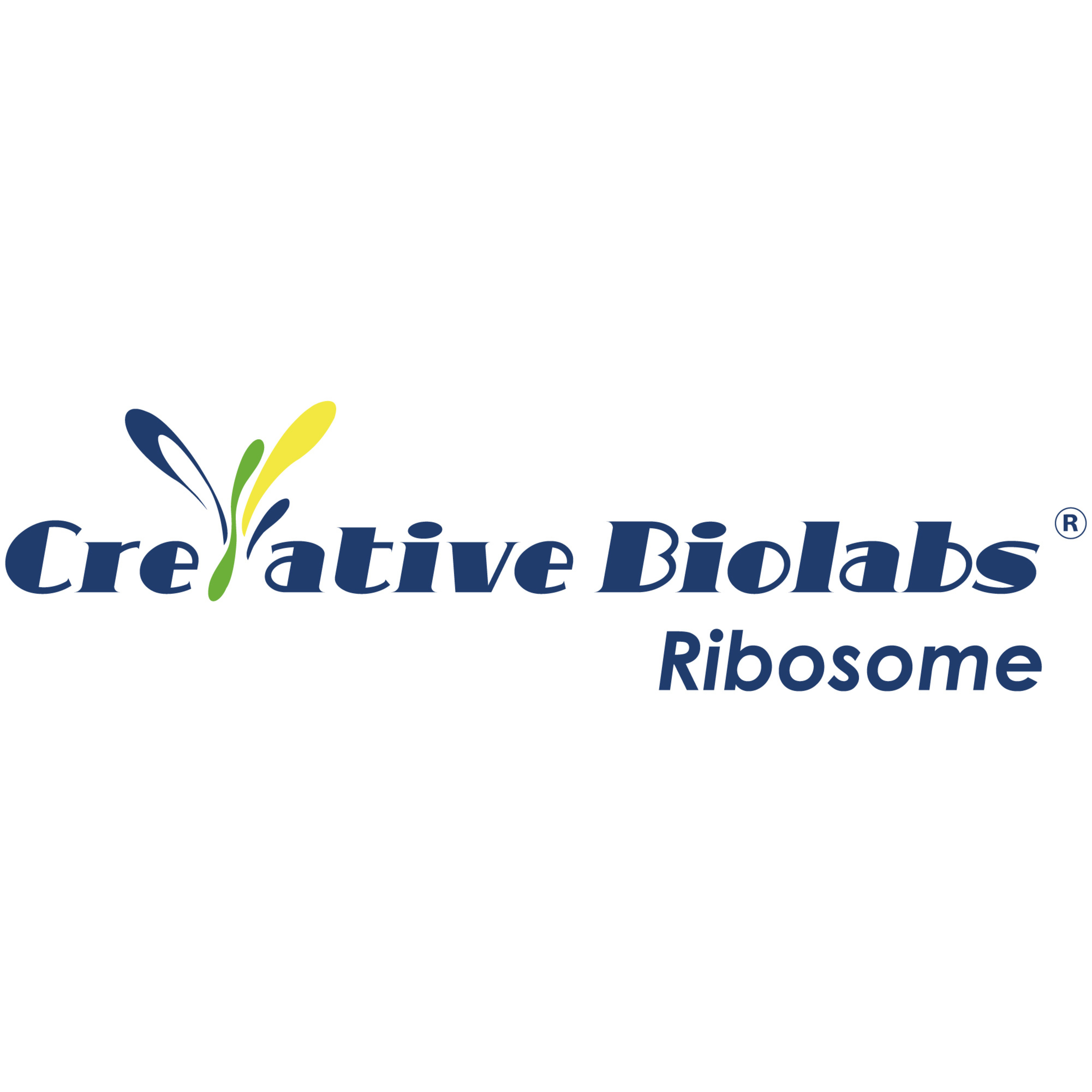 Antibody-based pharmaceuticals resource