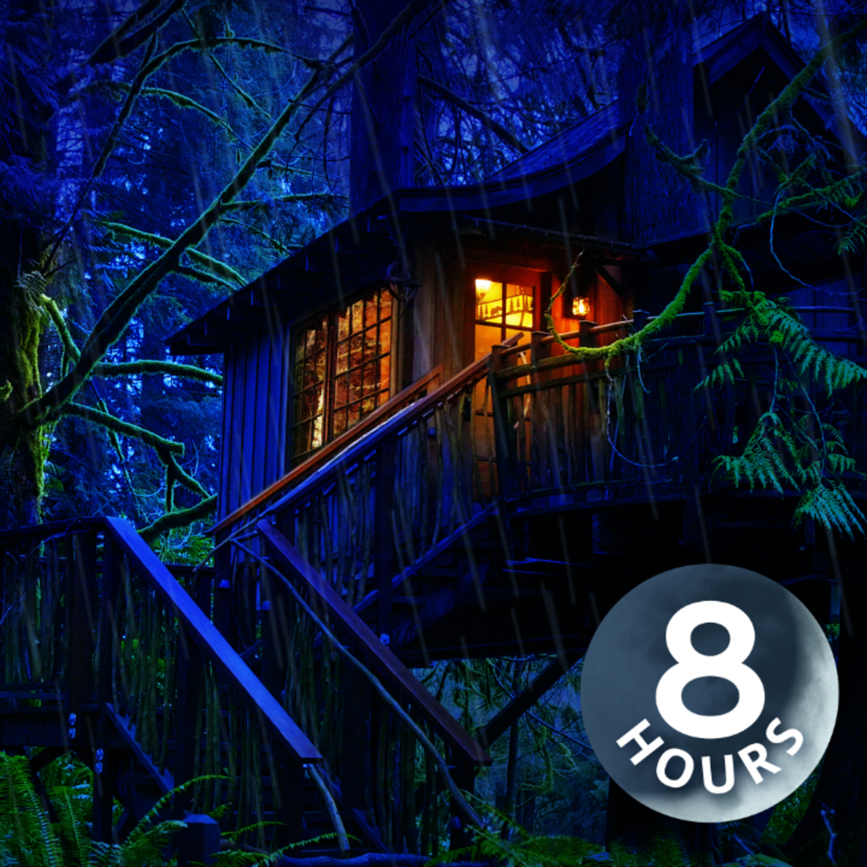 Nuit pluvieuse dans une cabane ensorcelante | Bruit blanc de pluie en forêt pour dormir (8 heures)