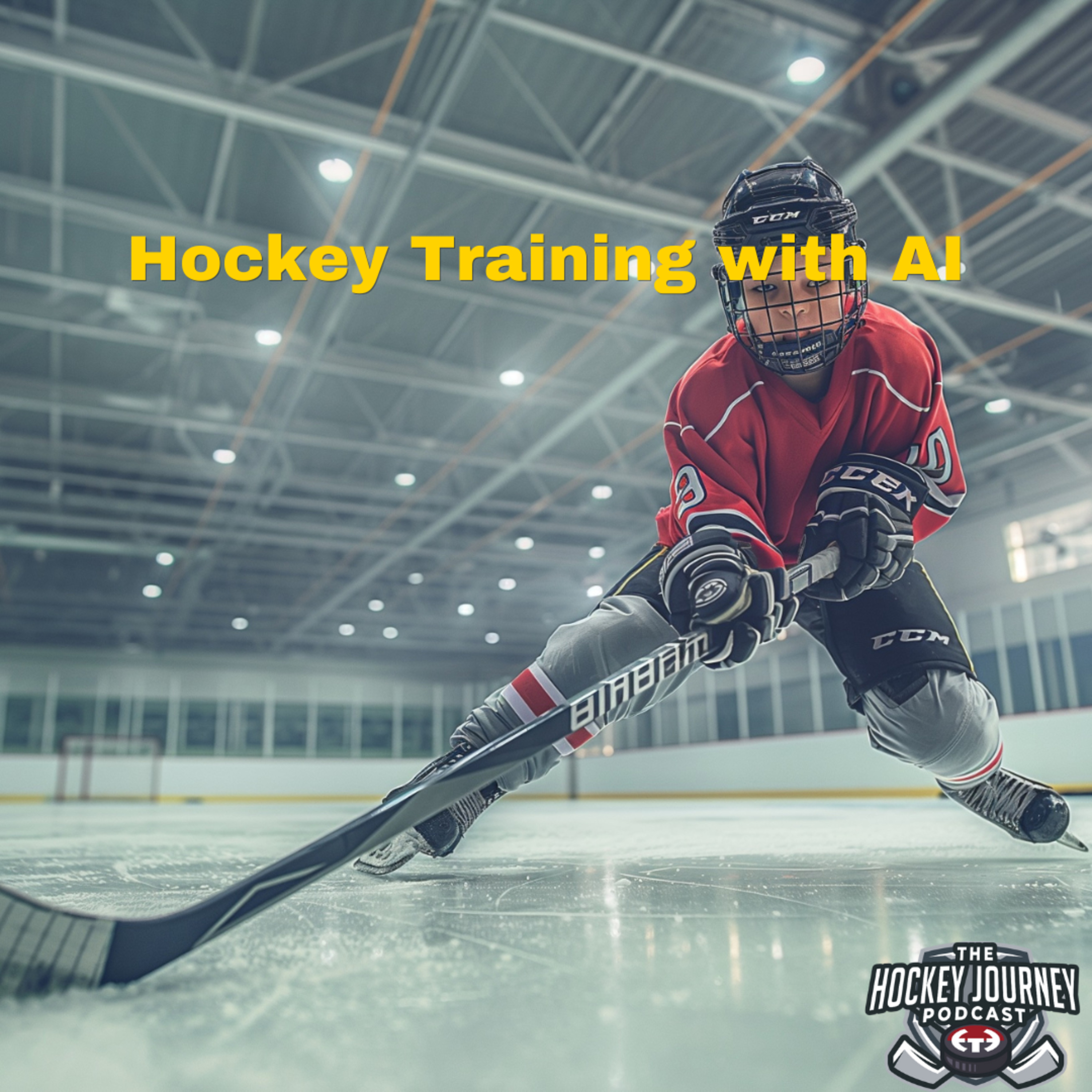 The Hockey Journey Podcast