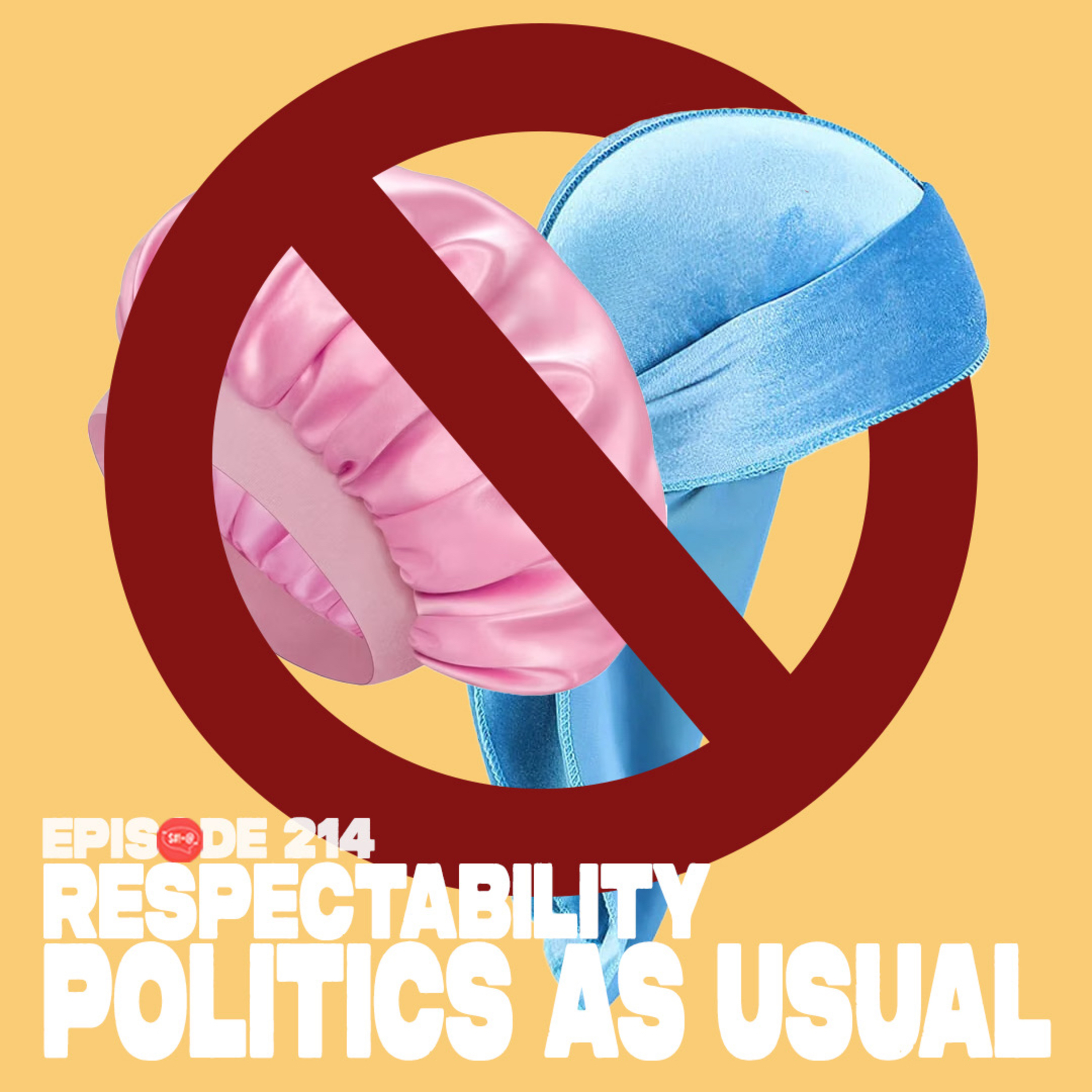 Respectability Politics As Usual episode artwork