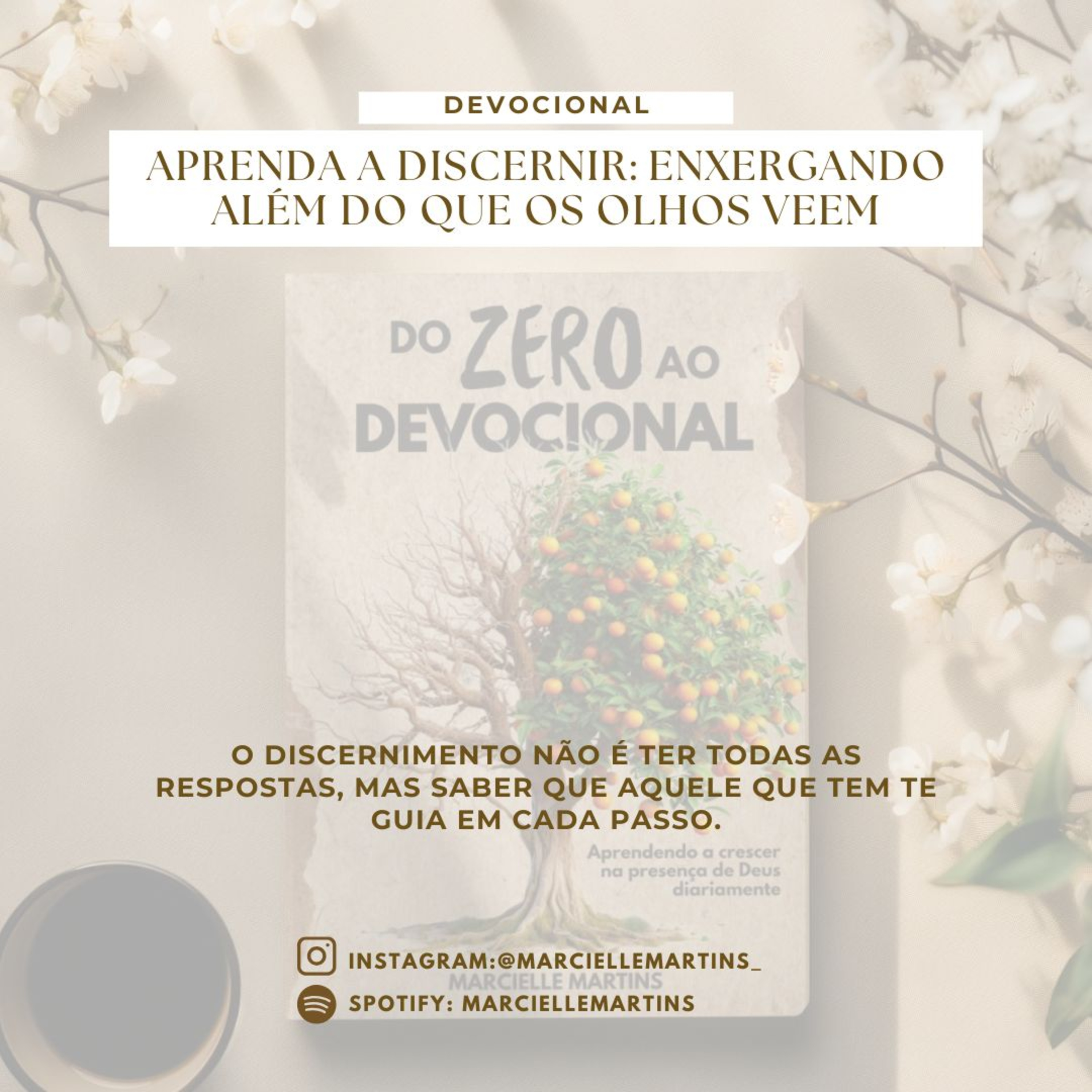 Aprenda a Discernir : Enxergando Além do que os Olhos Veem episode artwork