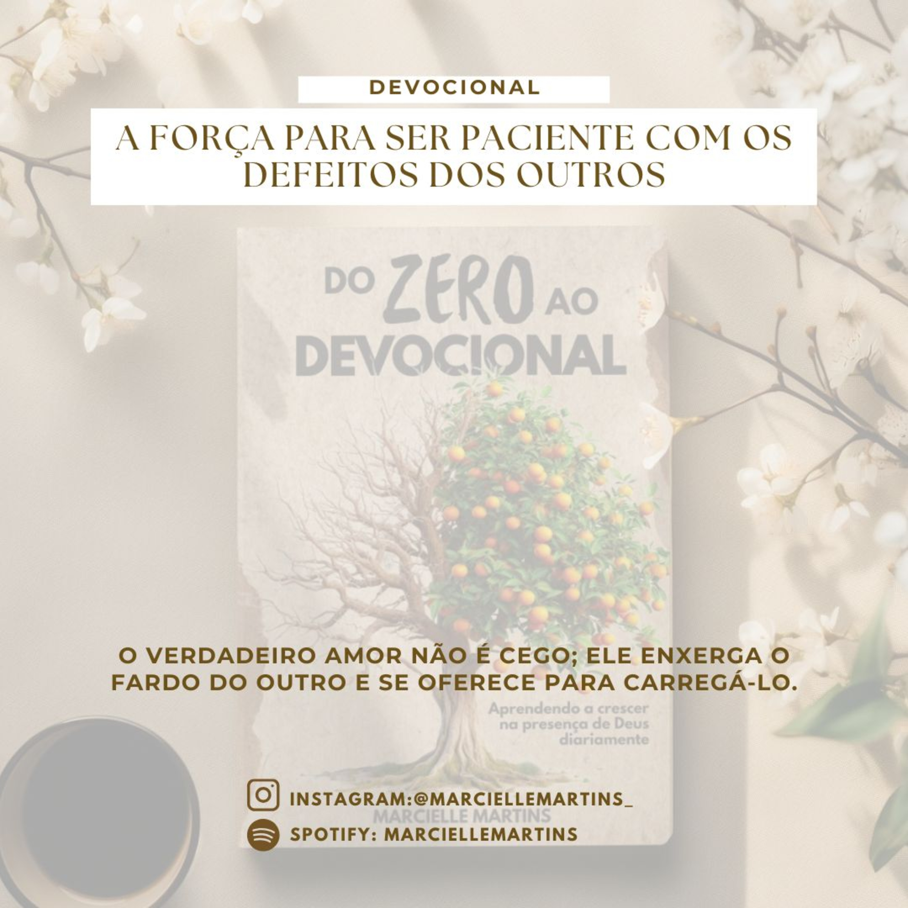 A Força Para Ser Paciente Com os Defeitos dos Outro episode artwork
