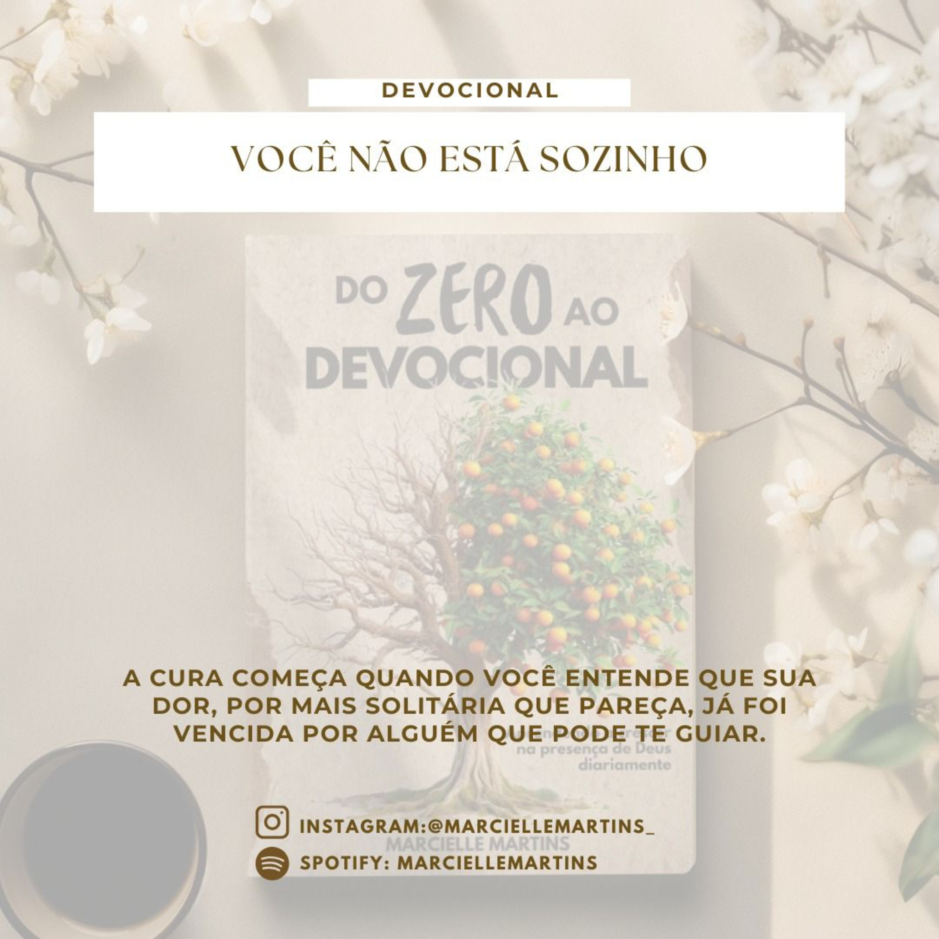 Você Não Está Sozinho episode artwork