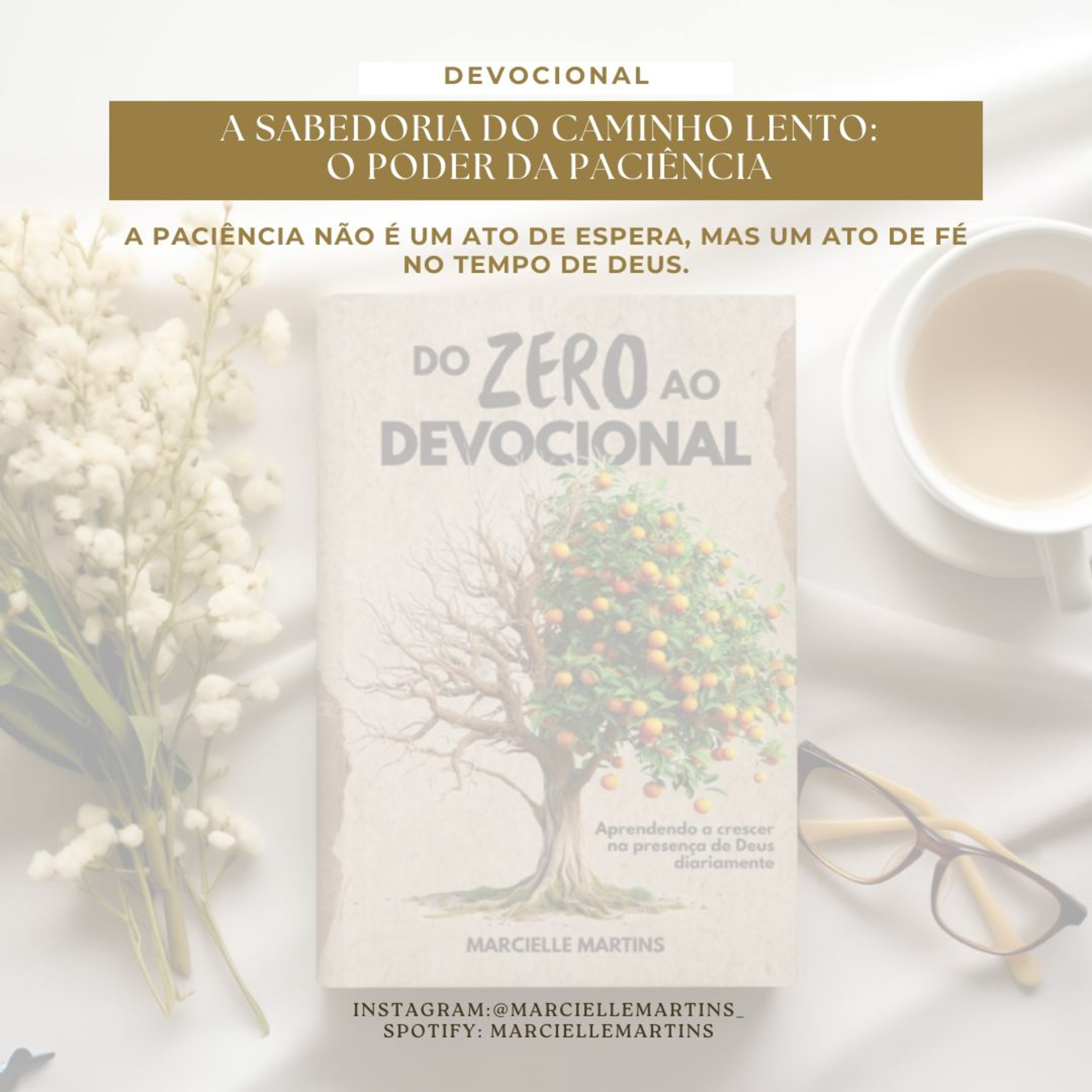 A Sabedoria do Caminho Lento episode artwork