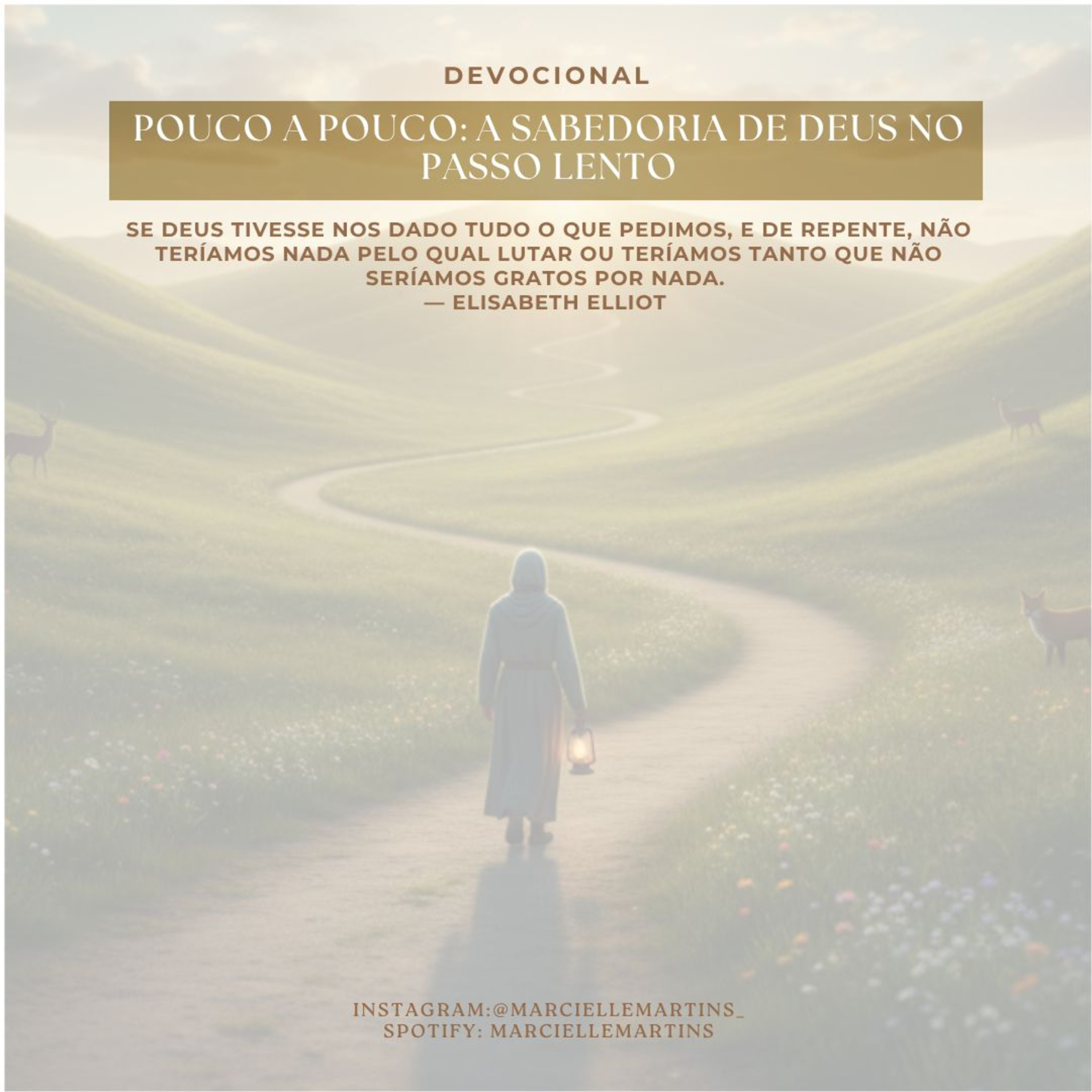 Pouco a Pouco: A Sabedoria de Deus no Passo Lento episode artwork