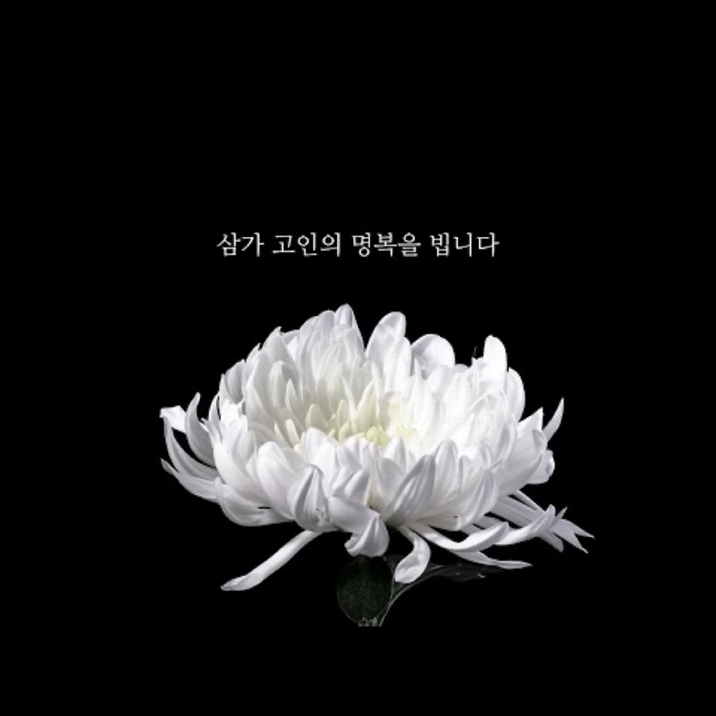 韓国、悲しすぎる大事故が...