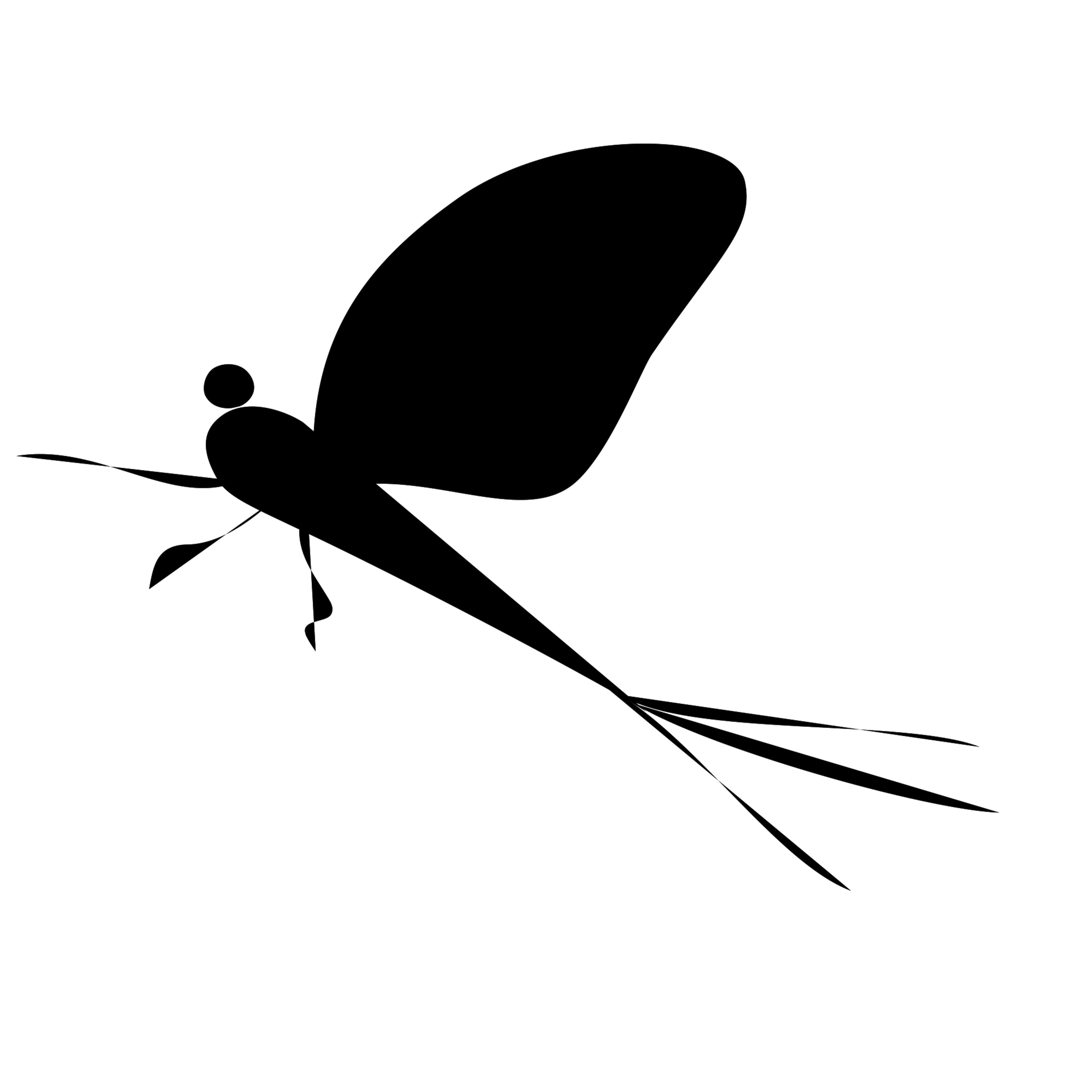 Episode #60: Talking Hatchpedia and 'Bugs with Jim Speaker - Fly Fishing and Entymology