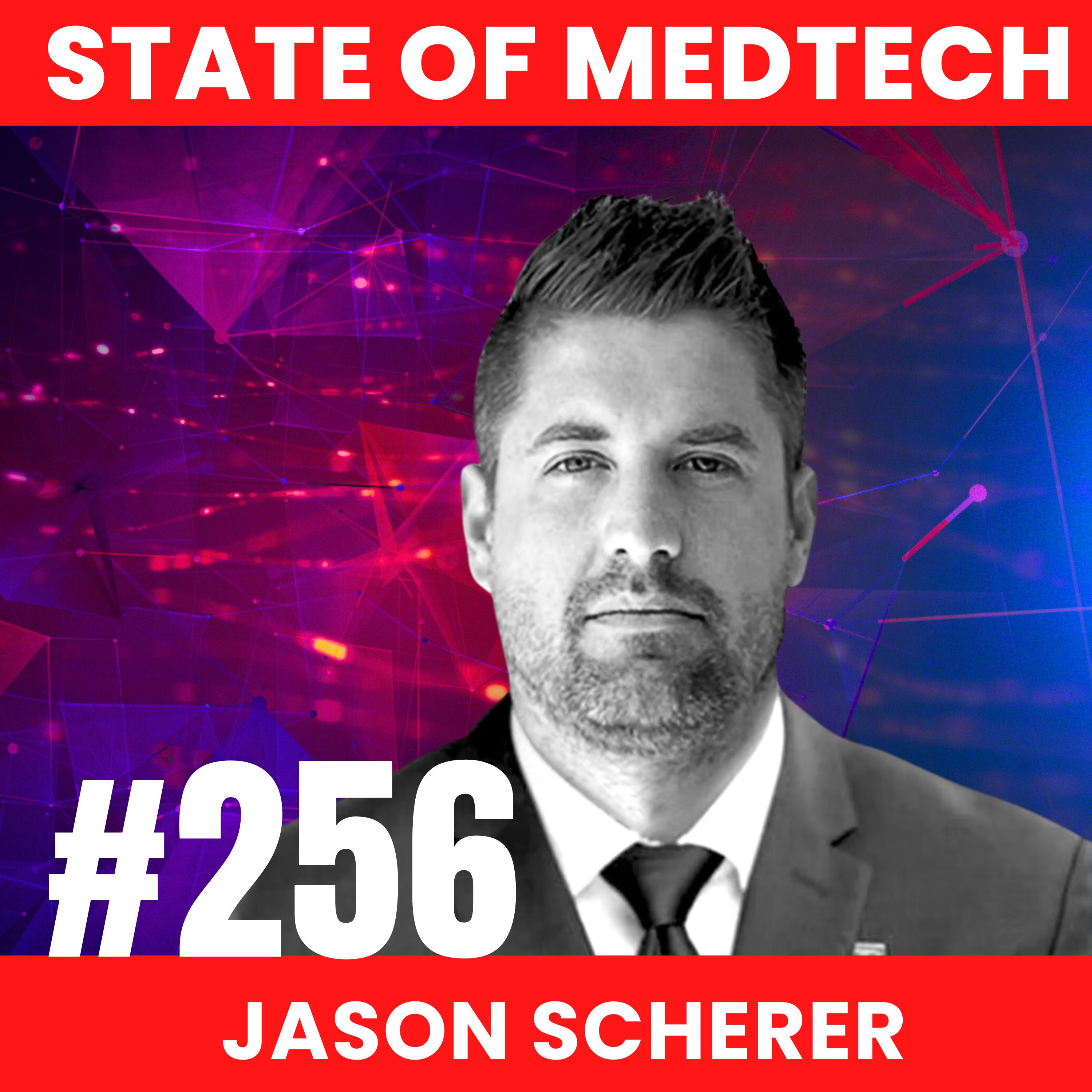 256. Medical Sales Rep to Owning a Medtech Development Company with Jason Scherer, CEO of VitaTek  episode artwork
