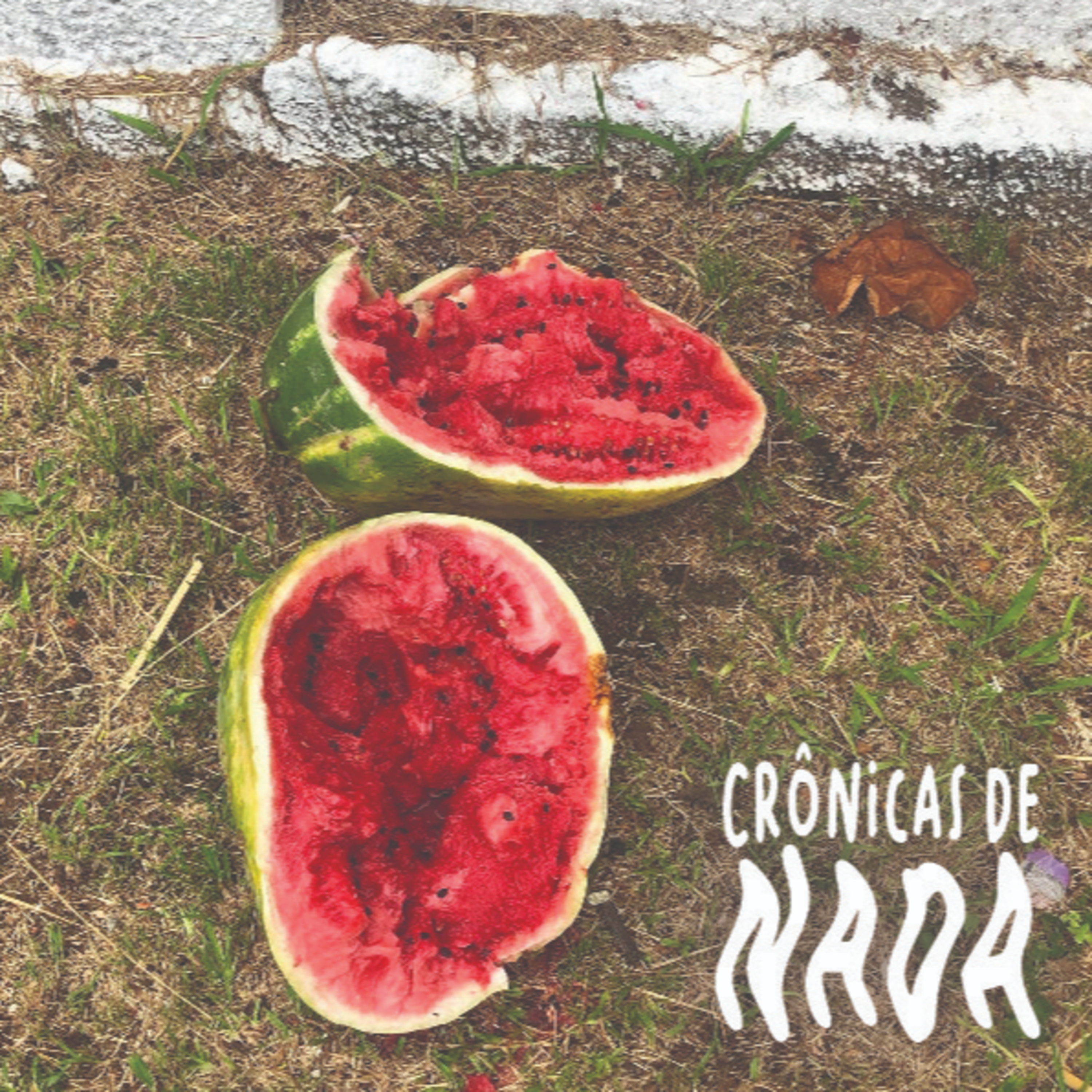 Crônicas De Nada